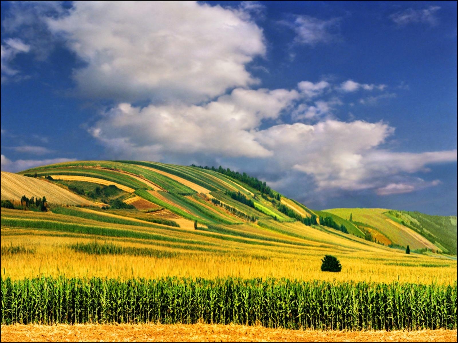 Download mobile wallpaper Sky, Landscape, Fields for free.
