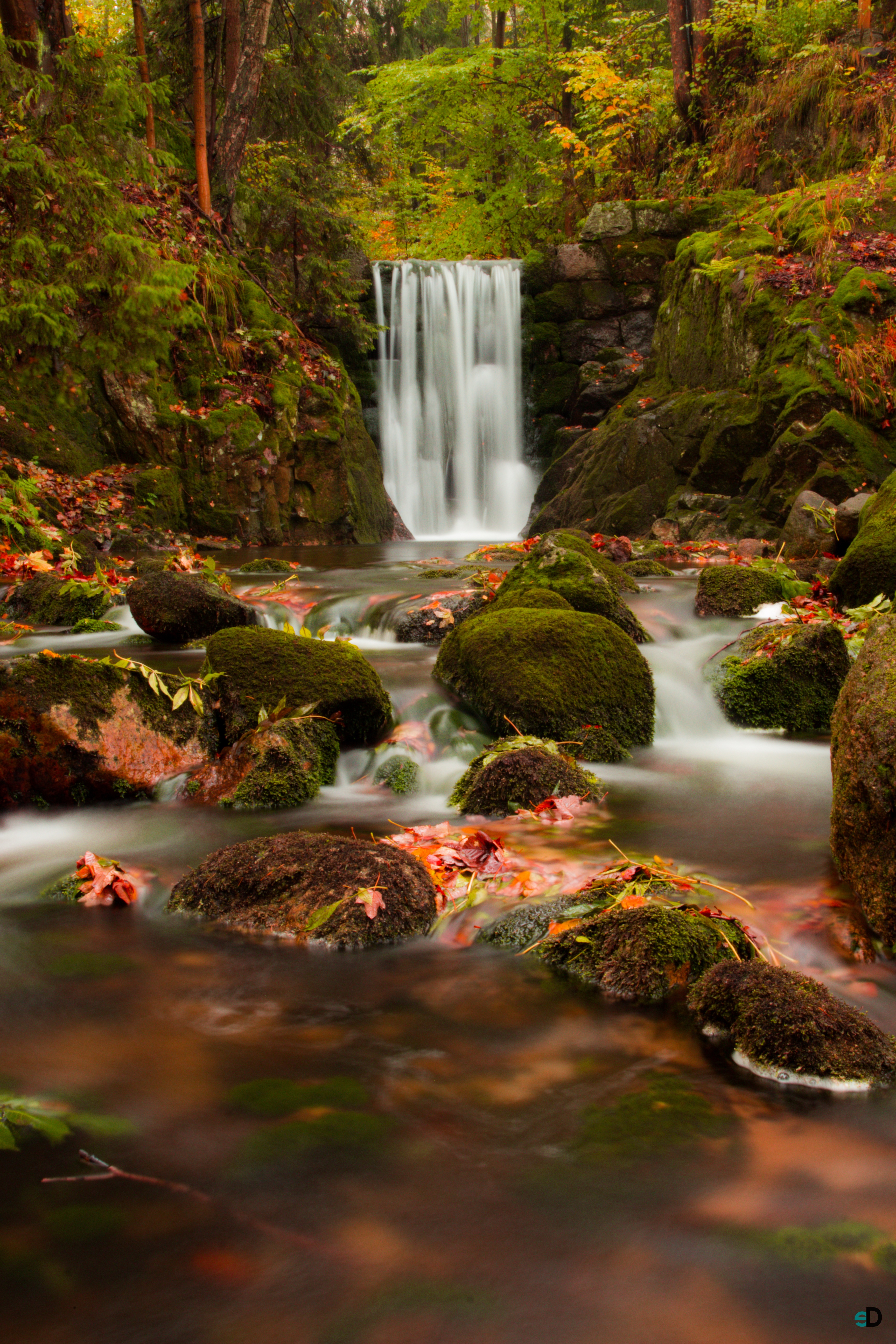 Download mobile wallpaper Branches, Stones, Waterfall, Nature, Autumn for free.