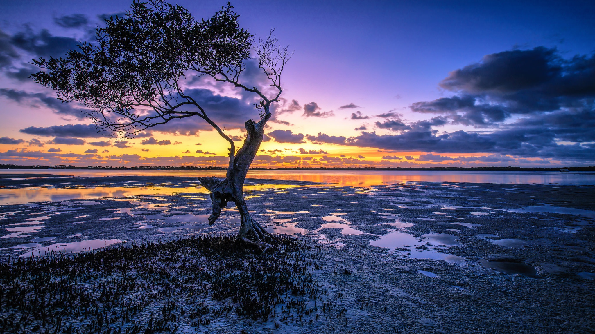Free download wallpaper Nature, Trees, Sunset, Sky, Horizon, Lake, Tree, Earth, Cloud, Twisted Tree on your PC desktop