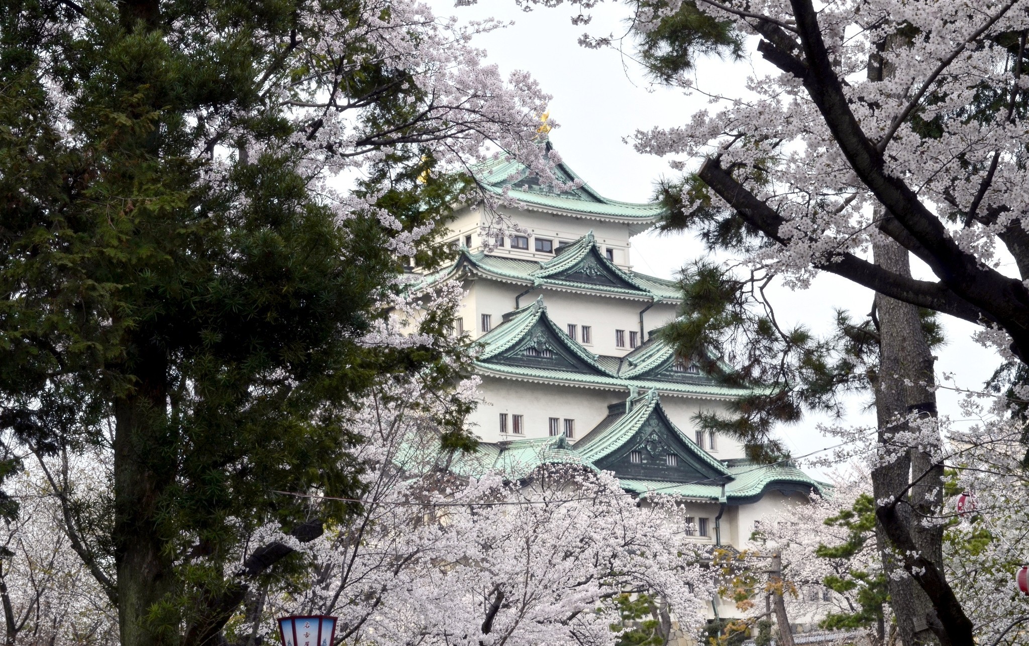 osaka castle, sakura blossom, man made, japan, spring, castles