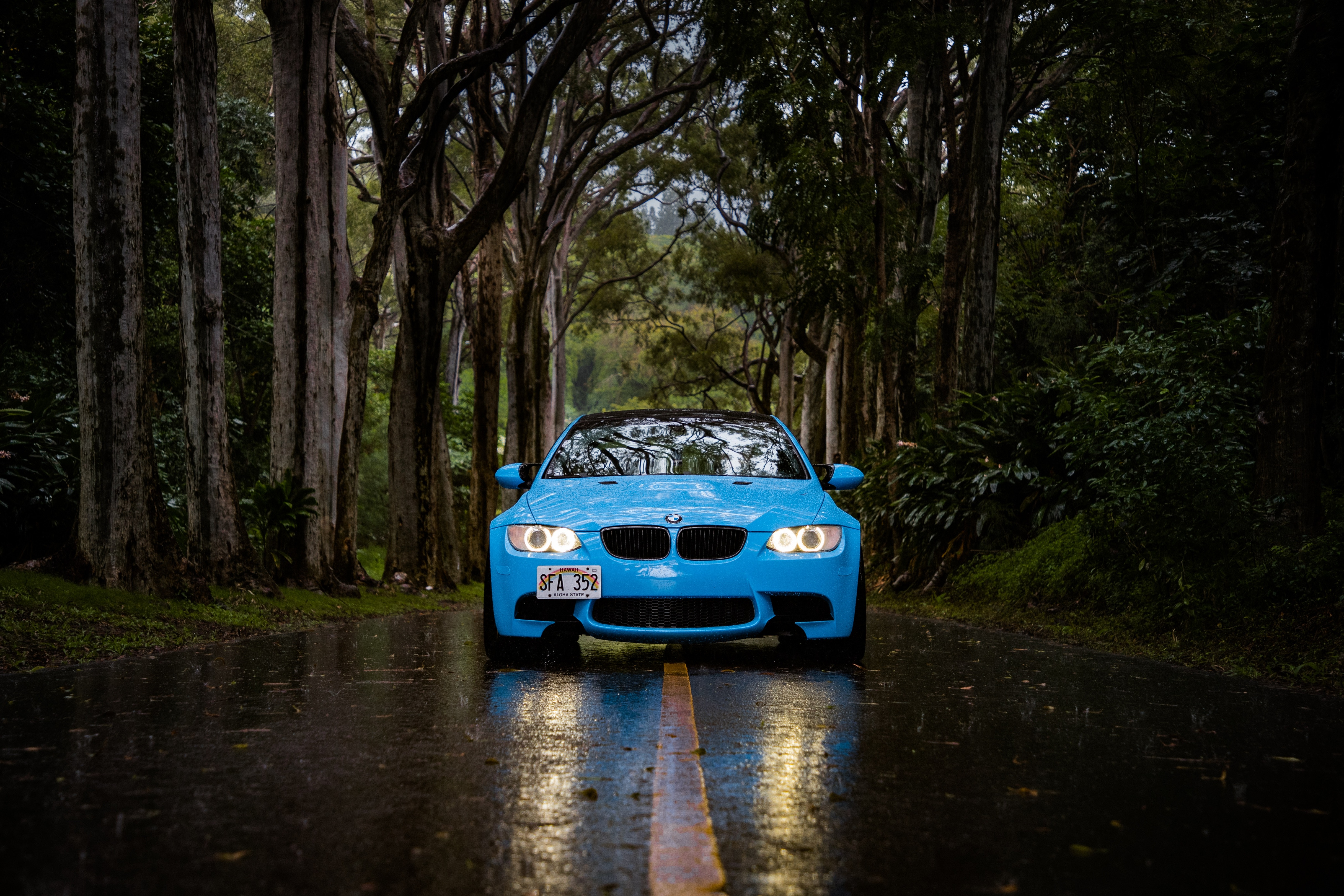 cars, bmw, rain, blue, road, forest, car, front view, bmw 5 desktop HD wallpaper