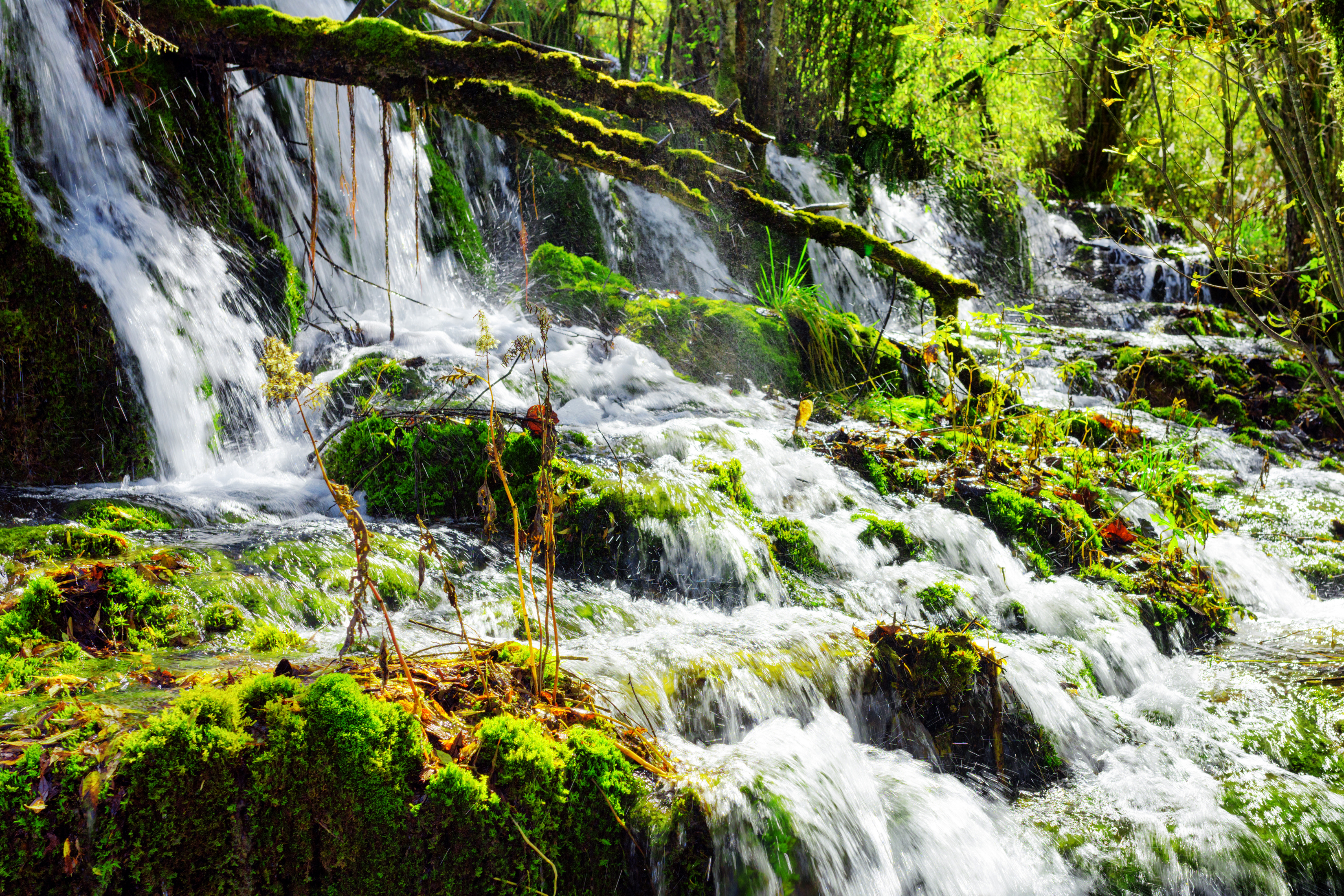 Free download wallpaper Nature, Waterfalls, Waterfall, Earth, Moss on your PC desktop