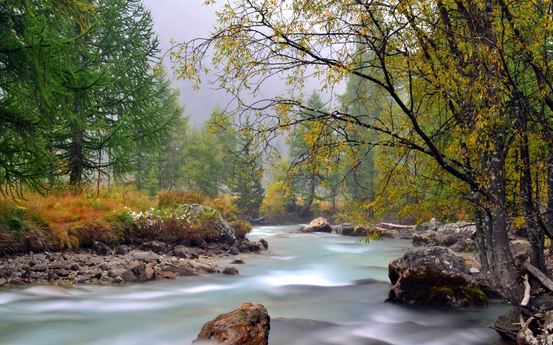 Free download wallpaper Tree, Earth, River on your PC desktop