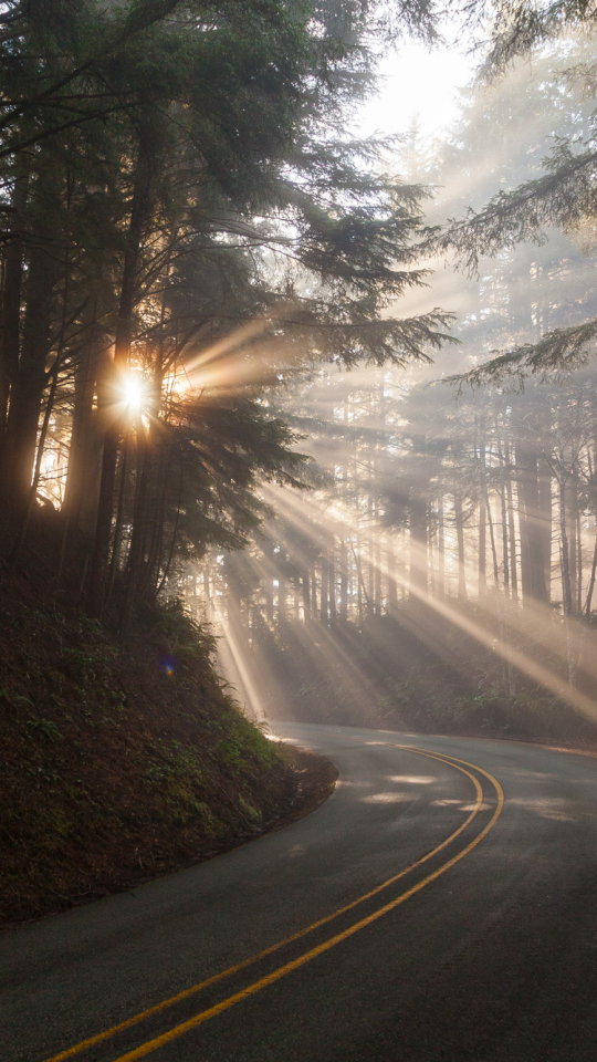 Download mobile wallpaper Road, Forest, Sunbeam, Man Made, Sunbean for free.