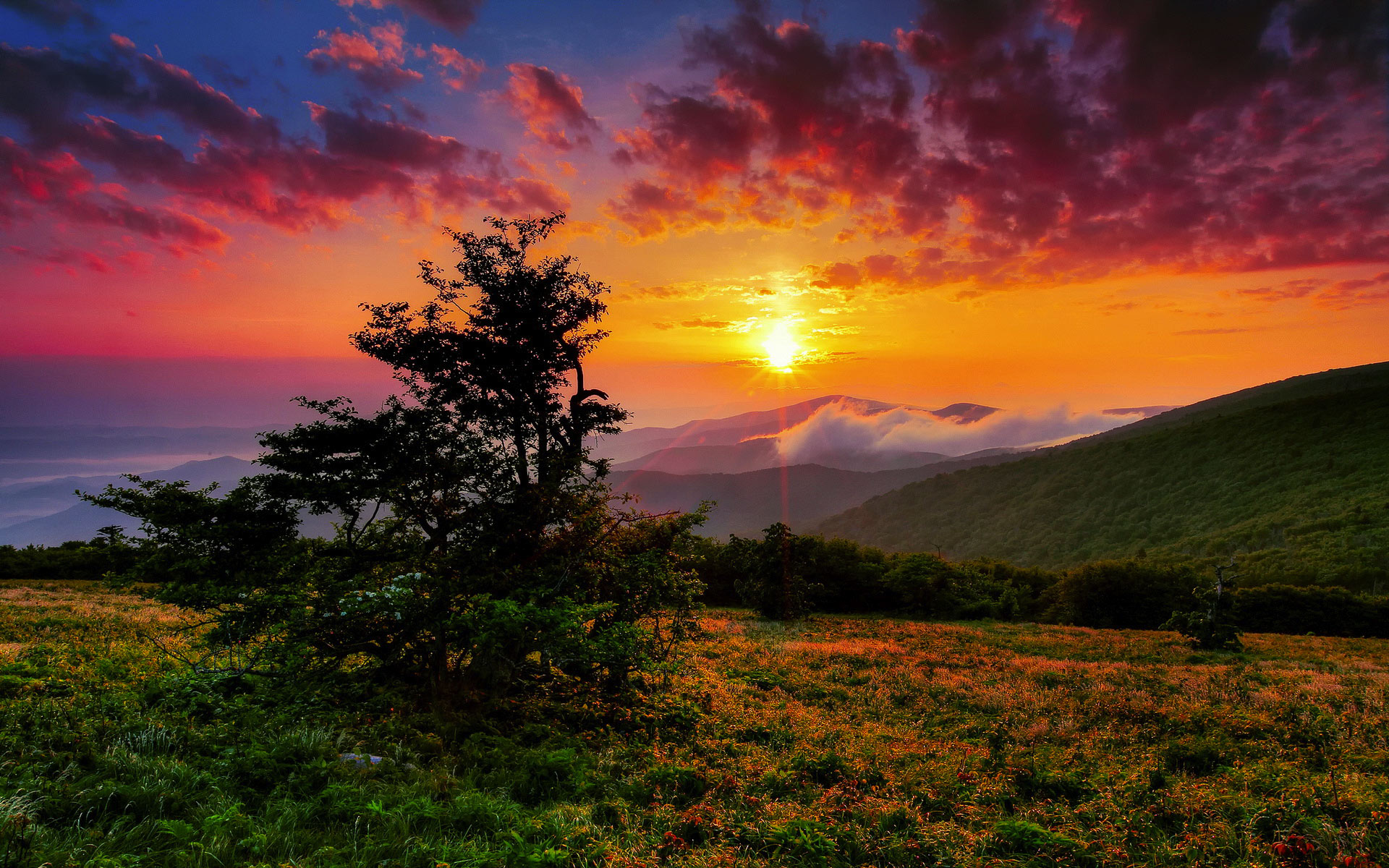 Baixe gratuitamente a imagem Montanha, Terra/natureza na área de trabalho do seu PC