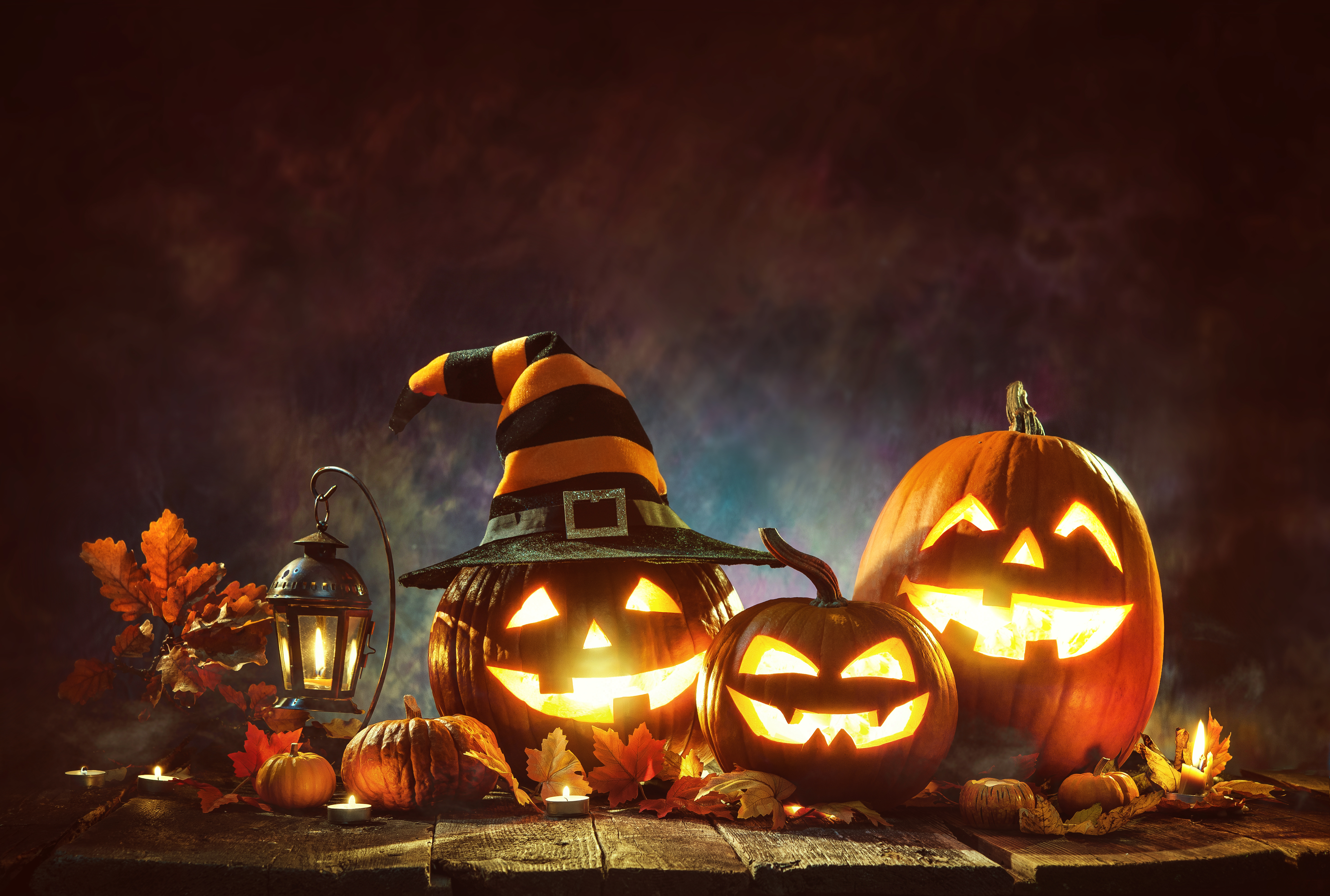 Téléchargez des papiers peints mobile Halloween, Vacances, Lanterne, Citrouille D'halloween gratuitement.