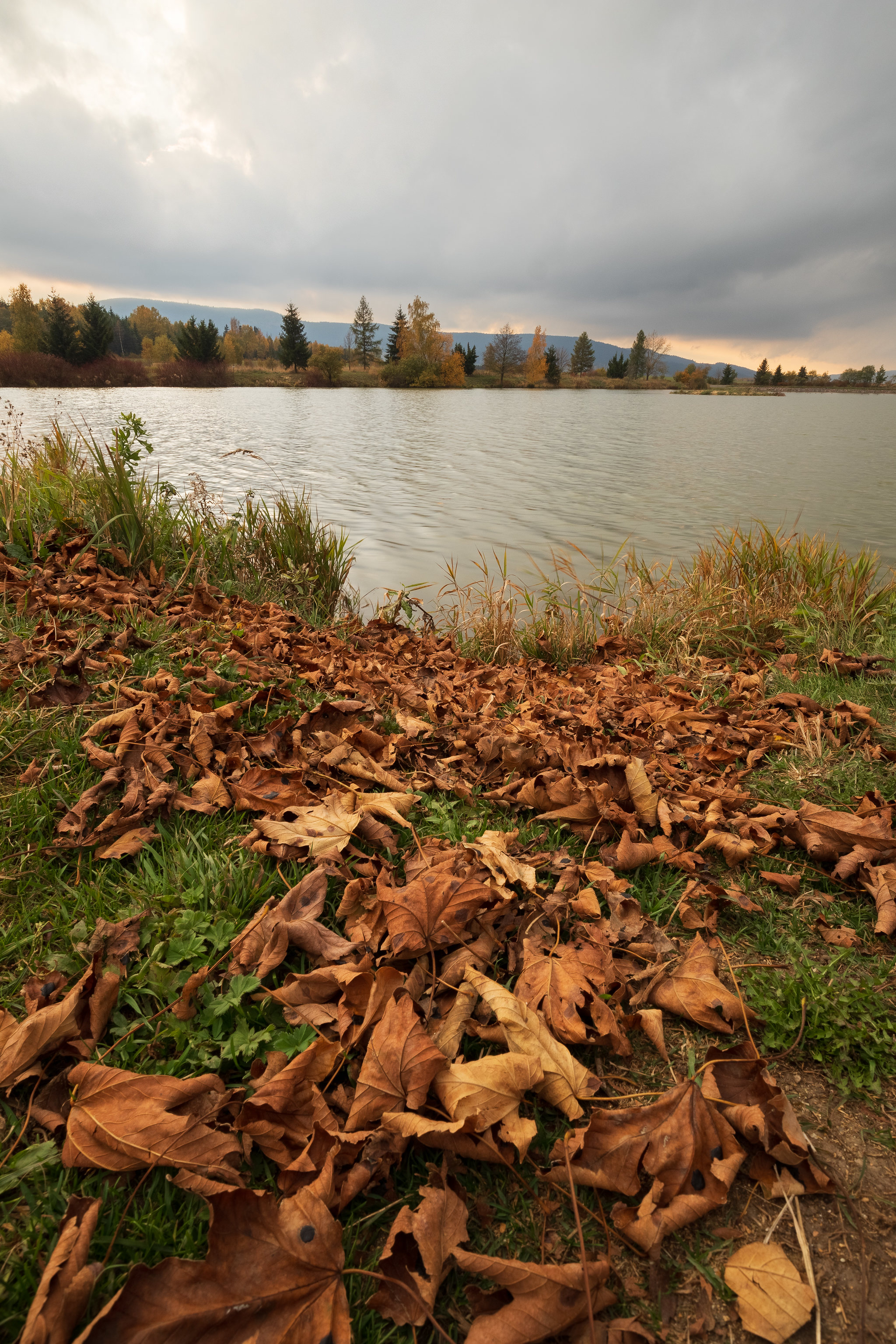 Скачать картинку Деревья, Озеро, Листья, Природа, Осень в телефон бесплатно.
