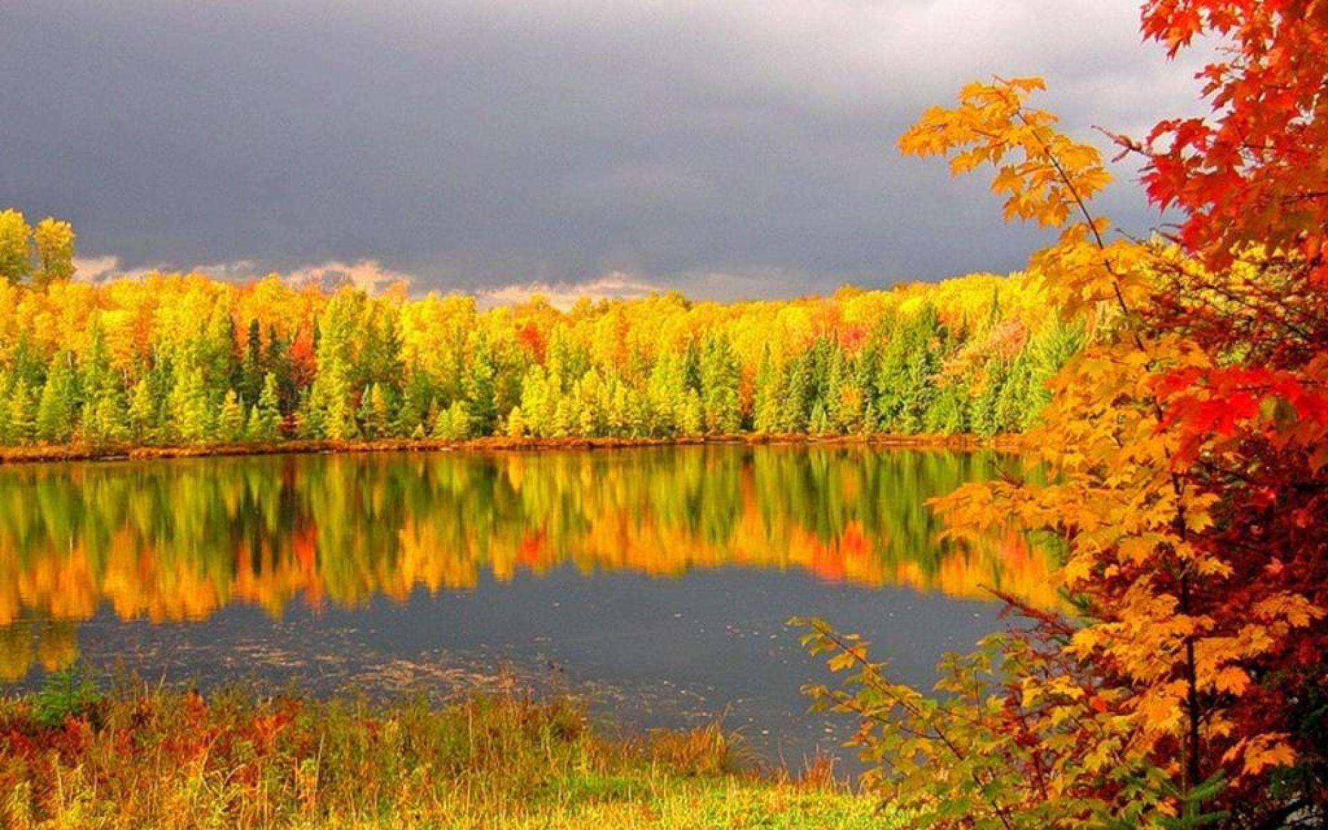 Baixe gratuitamente a imagem Lago, Floresta, Árvore, Cair, Terra, Terra/natureza, Reflecção na área de trabalho do seu PC