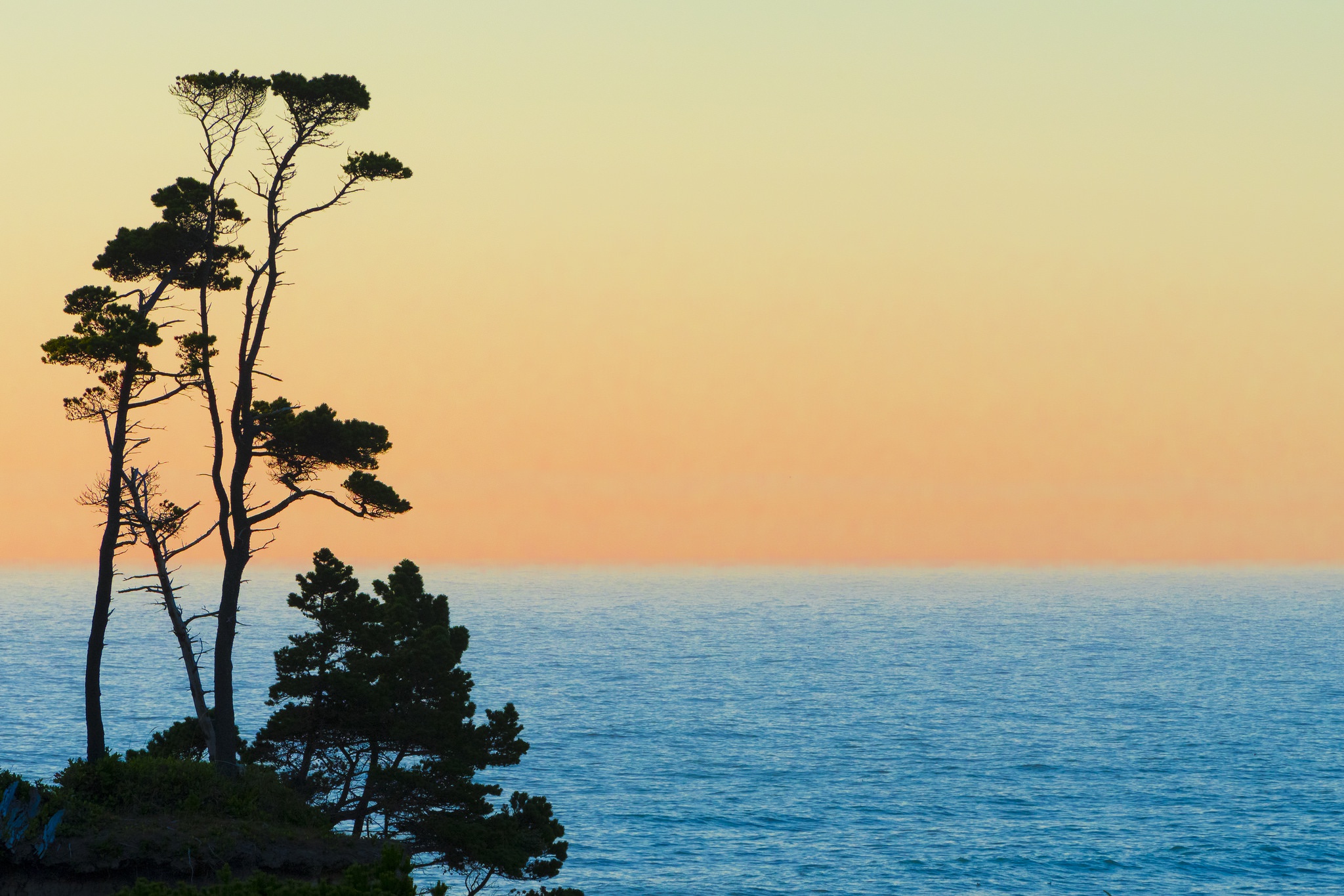 Descarga gratuita de fondo de pantalla para móvil de Naturaleza, Cielo, Horizonte, Árbol, Océano, Tierra/naturaleza.