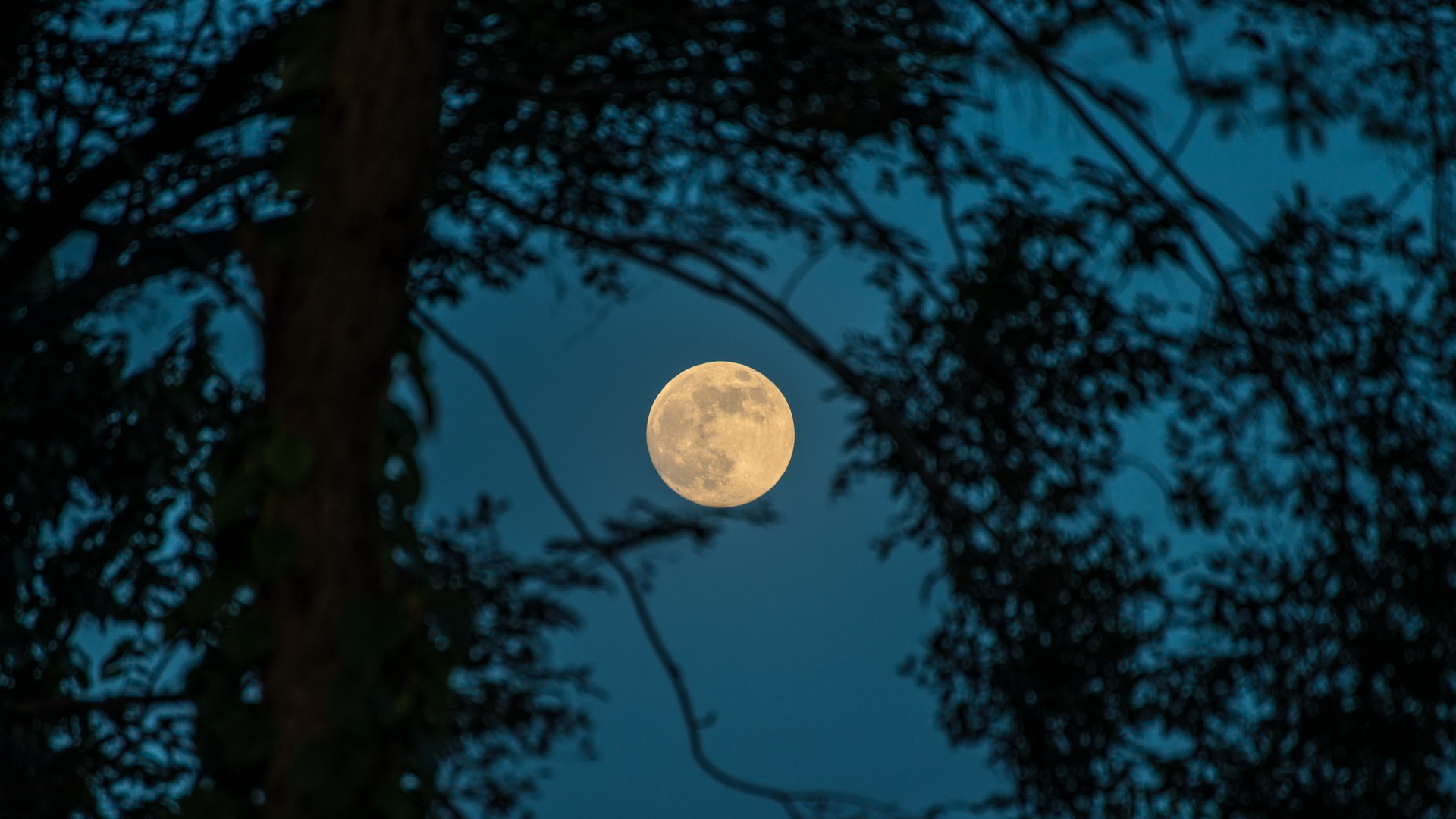 Téléchargez des papiers peints mobile Lune, Terre/nature gratuitement.