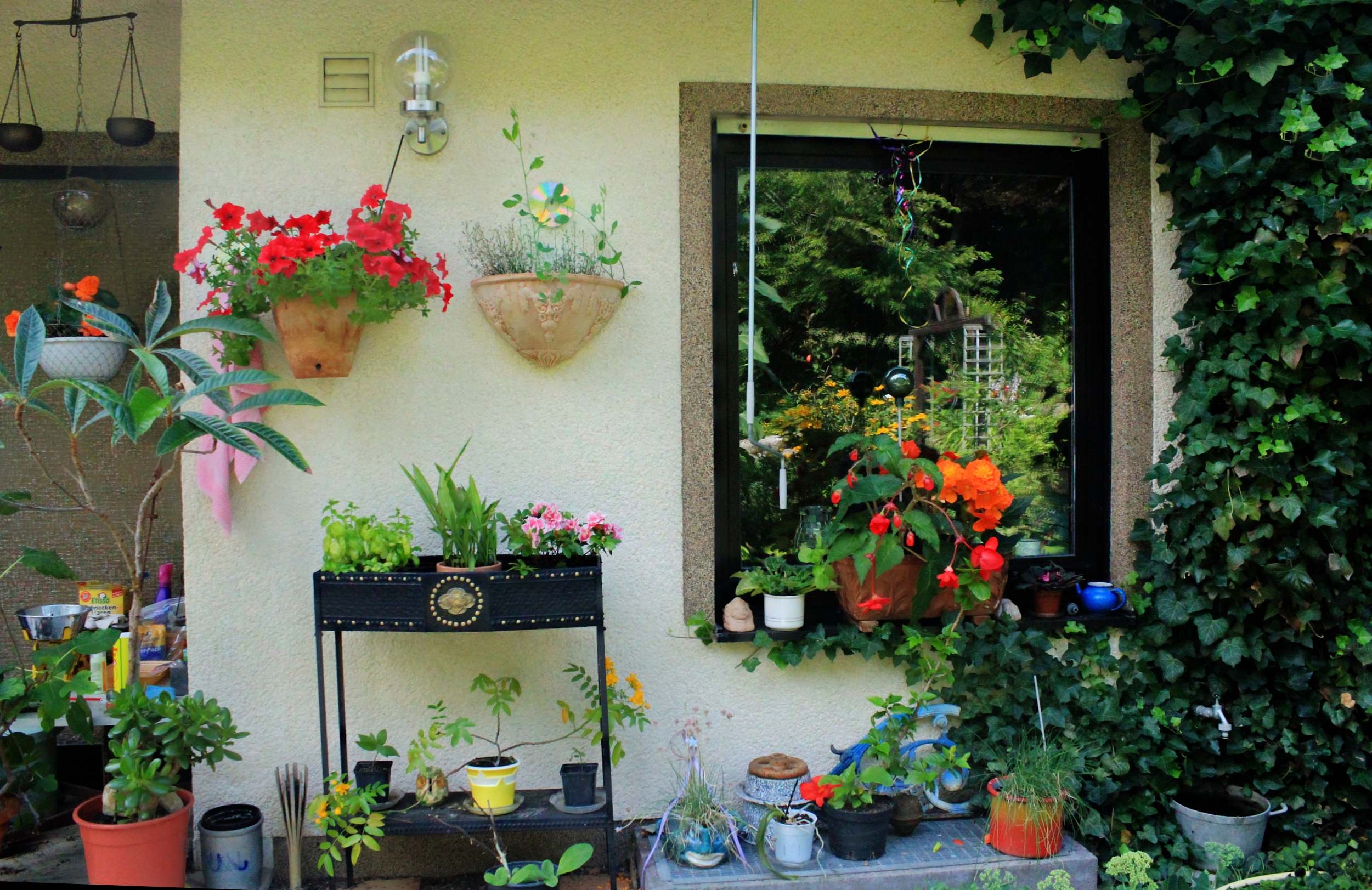 Téléchargez gratuitement l'image Jardin, Construction Humaine sur le bureau de votre PC