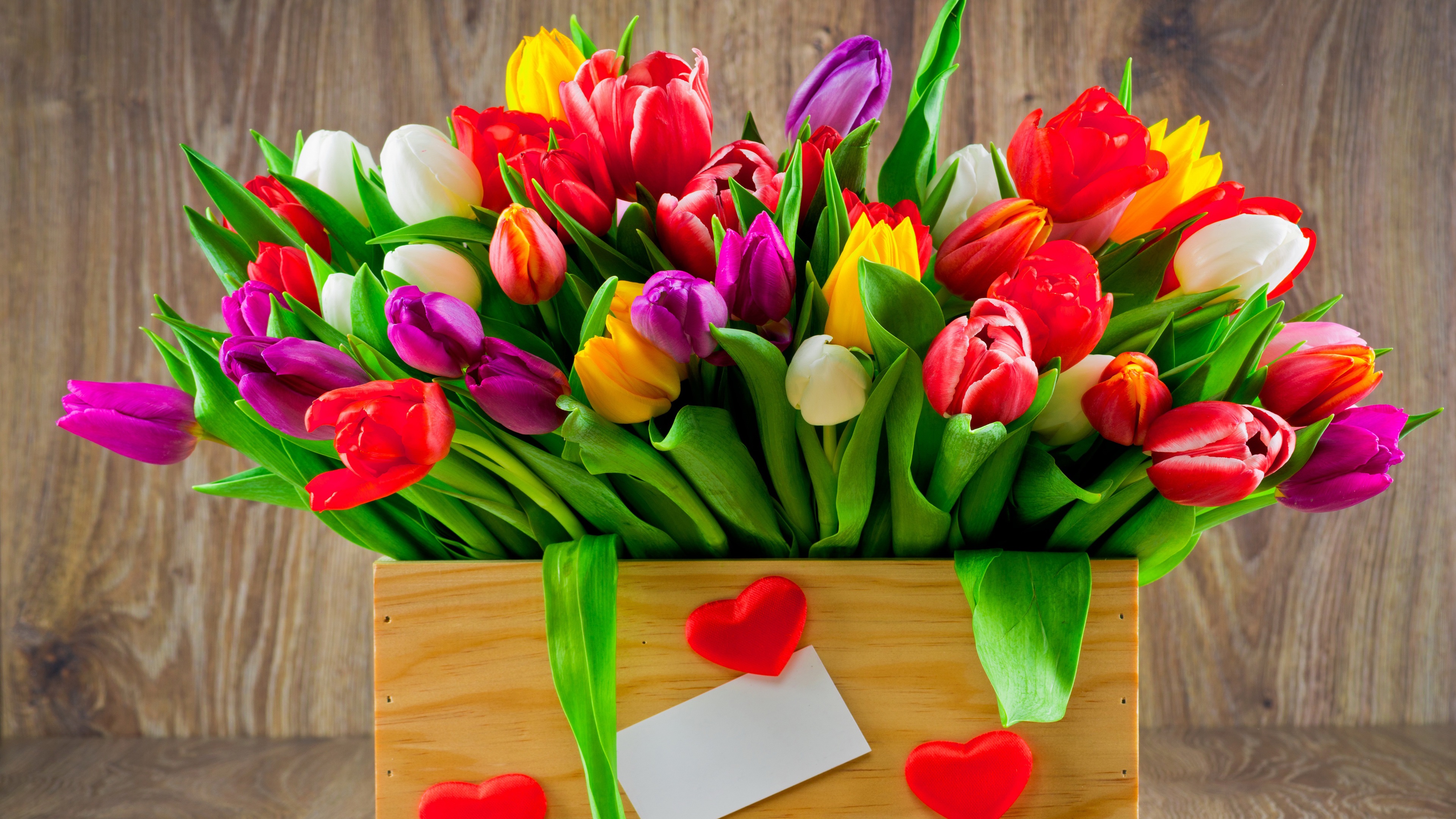 829379 descargar imagen hecho por el hombre, flor, caja, vistoso, colores, tierra, corazón, flor purpura, flor roja, tulipán, flor blanca, flor amarilla: fondos de pantalla y protectores de pantalla gratis