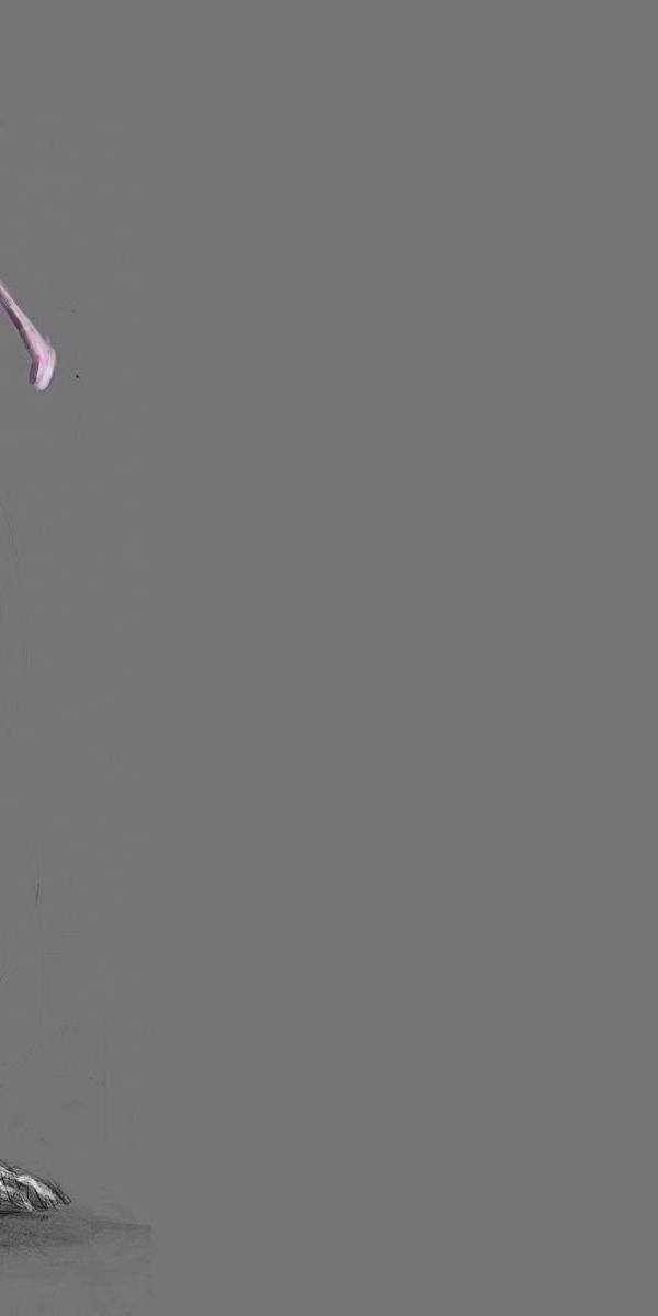 Fondo de pantalla de PC Animado, Pokémon, Mewtwo (Pokémon), 333305.