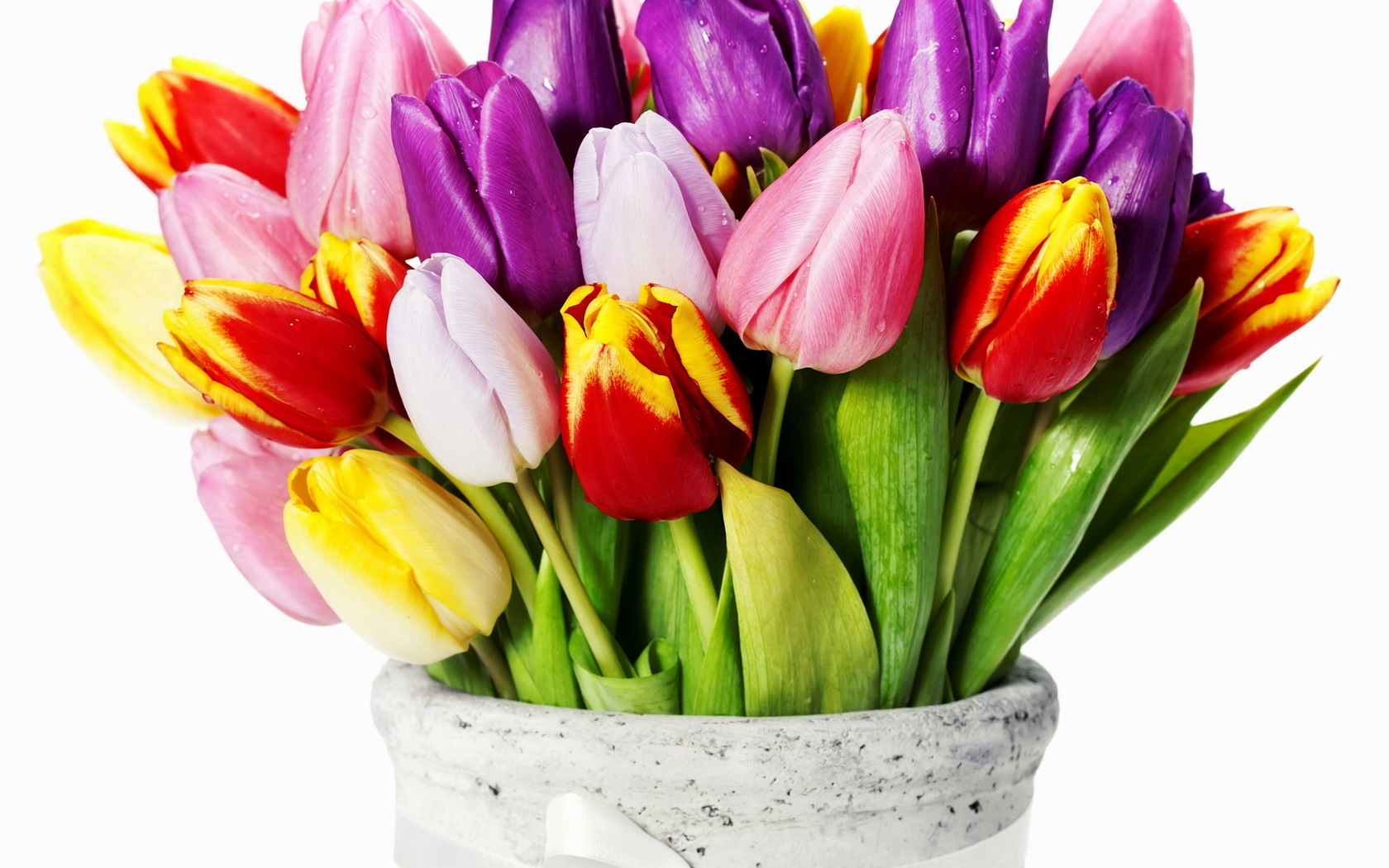 bouquets, plants, flowers, tulips