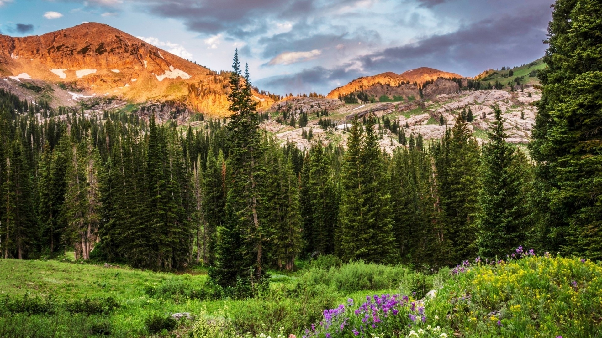 Laden Sie das Landschaft, Natur, Blume, Wald, Gebirge, Gras, Himmel, Erde/natur-Bild kostenlos auf Ihren PC-Desktop herunter