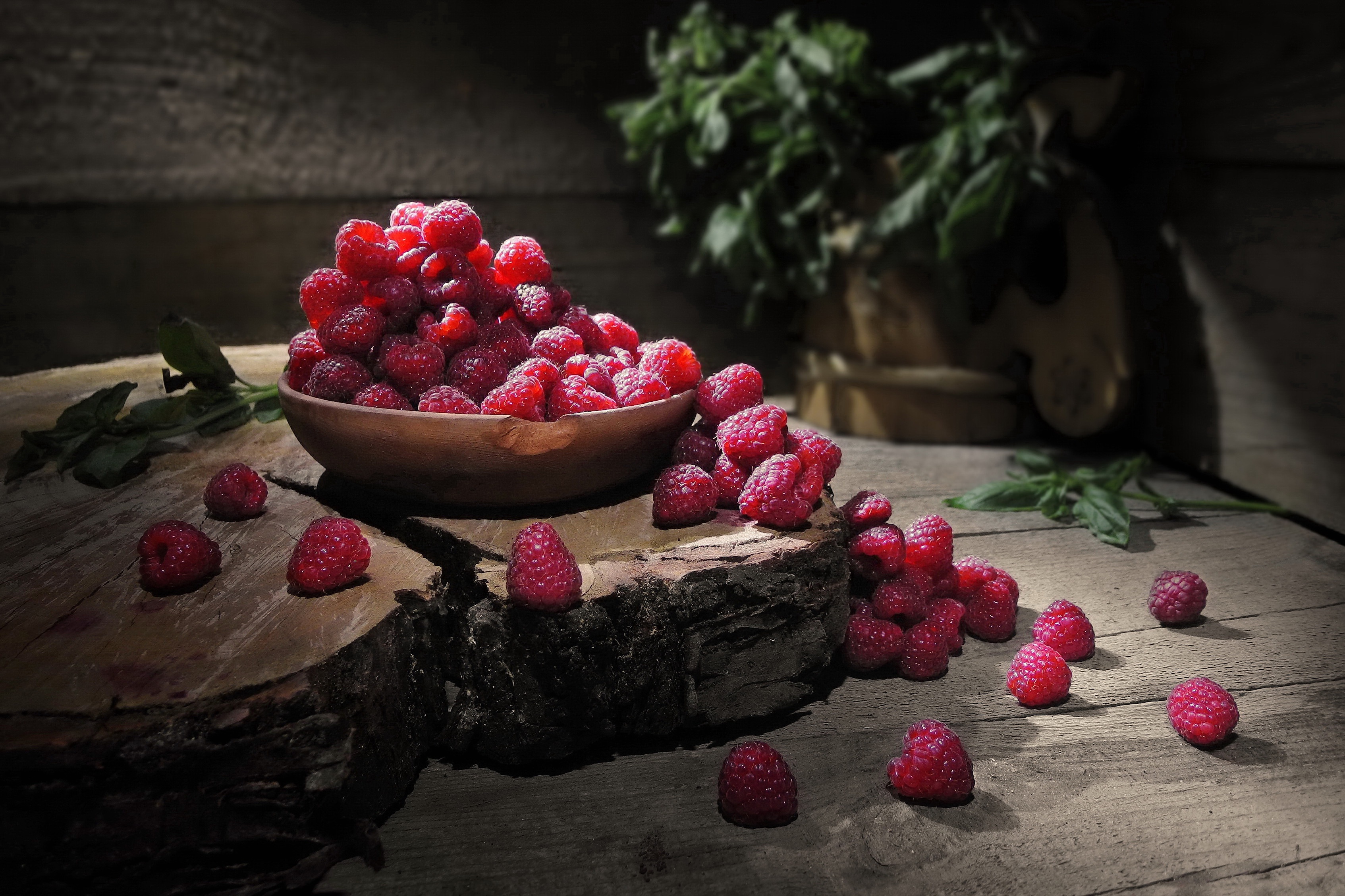 Download mobile wallpaper Fruits, Food, Raspberry, Still Life, Berry, Fruit for free.