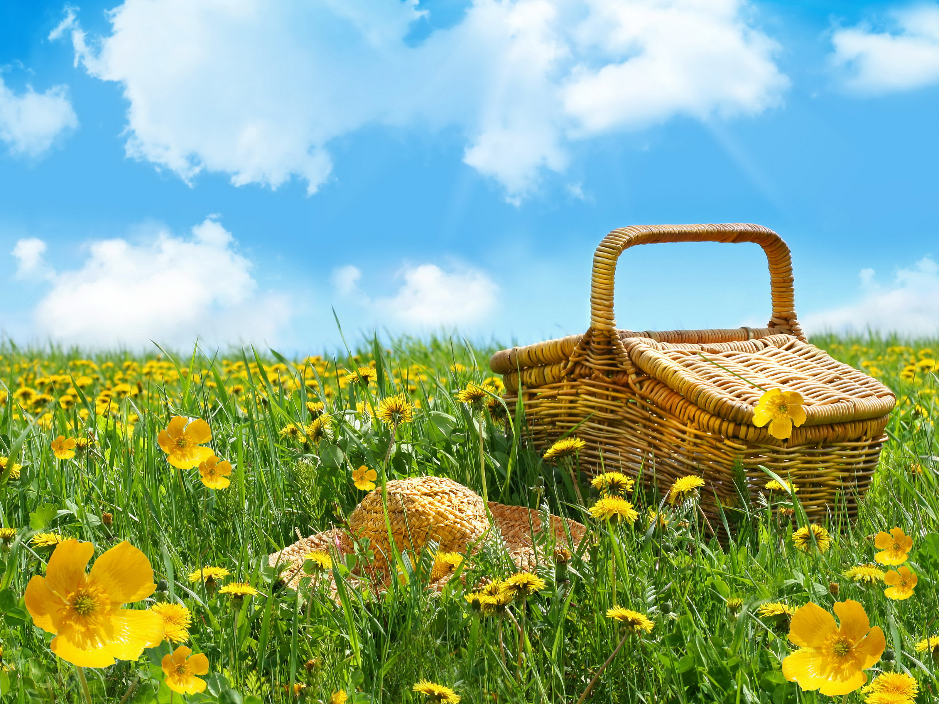 746001 скачать обои весна, соломенная шляпа, еда, пикник, поле, корзинка для пикника, желтый цветок - заставки и картинки бесплатно