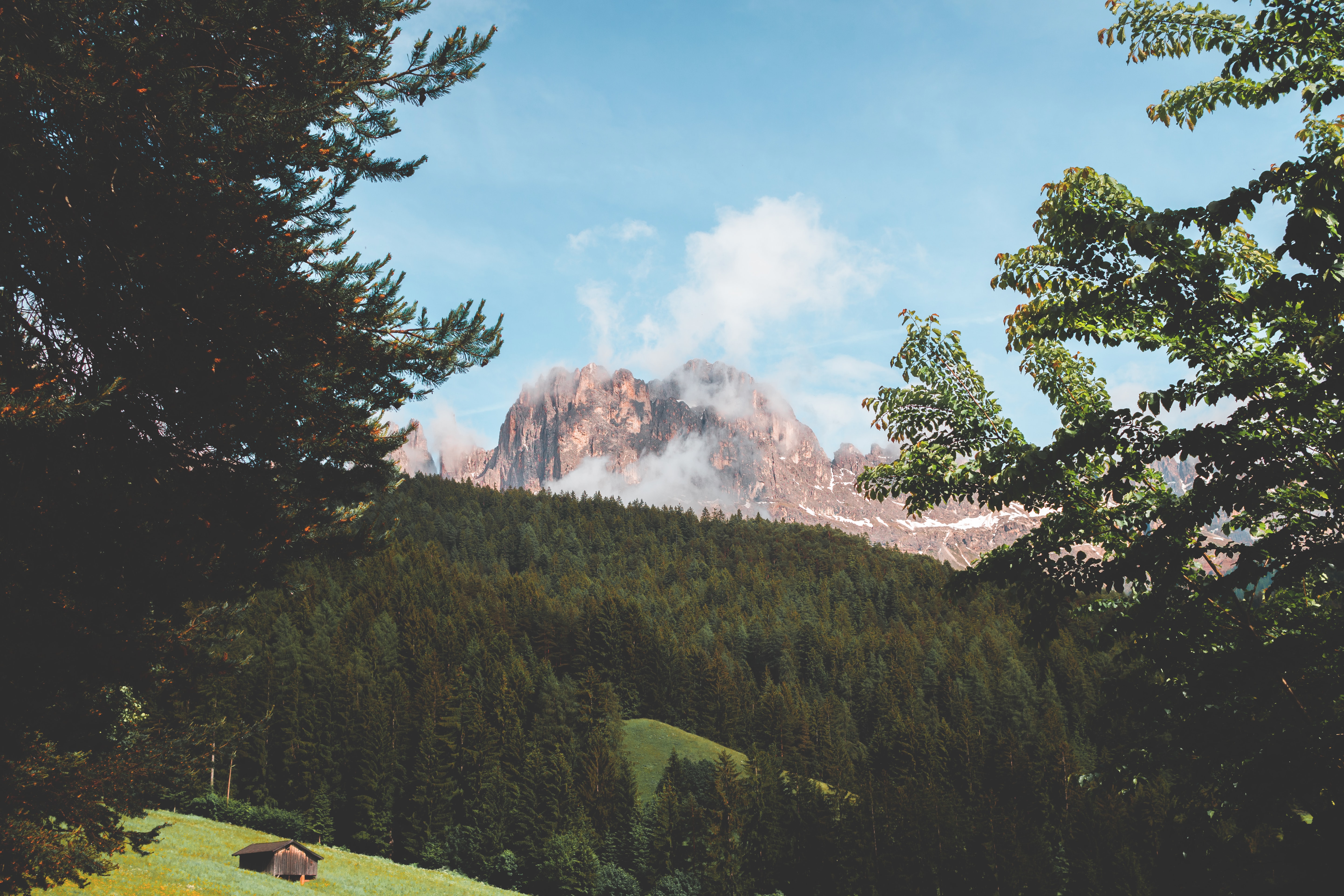 Laden Sie das Natur, Berg, Nebel, Geäst, Zweige, Wald-Bild kostenlos auf Ihren PC-Desktop herunter