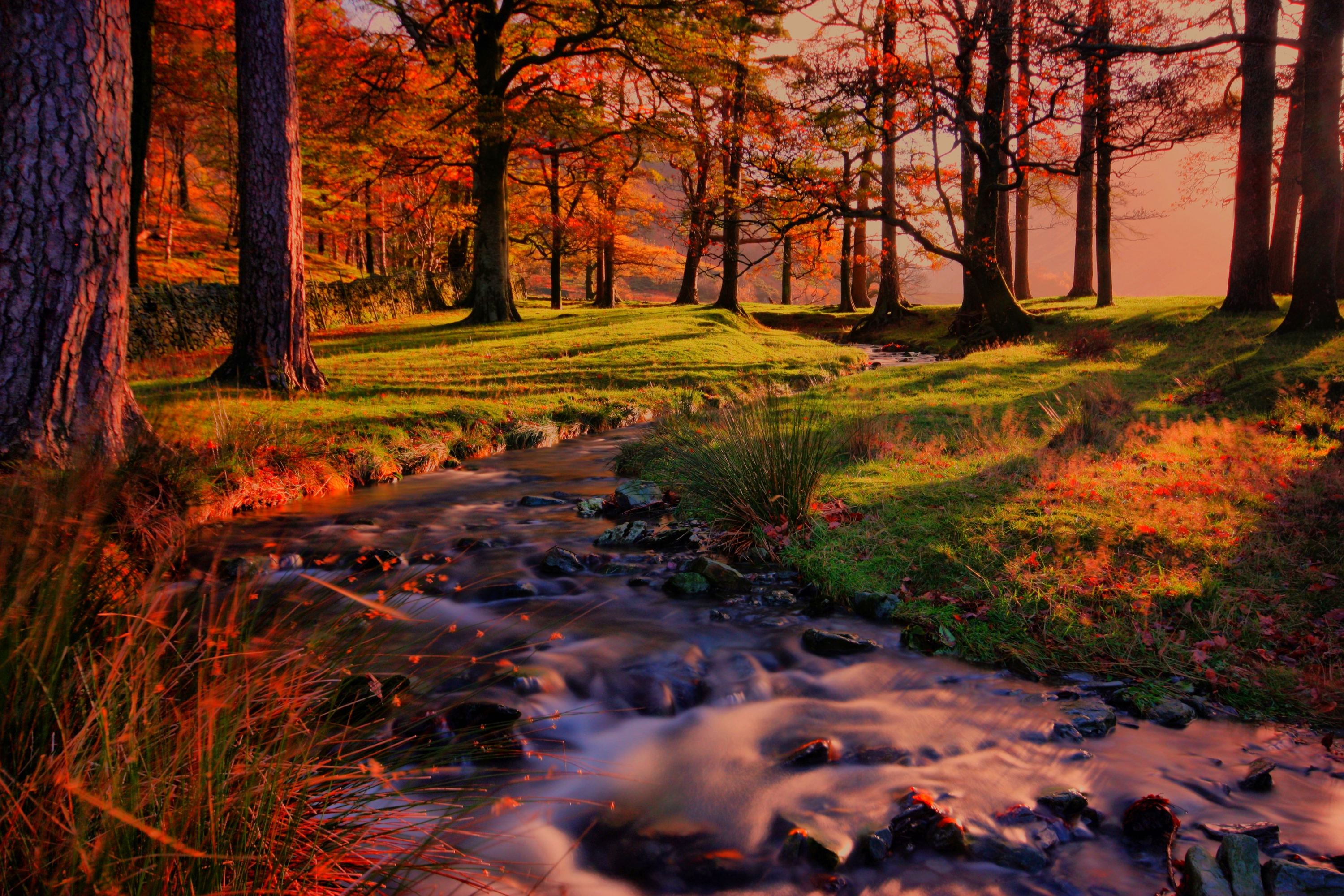Download mobile wallpaper Park, Tree, Fall, Earth, River for free.