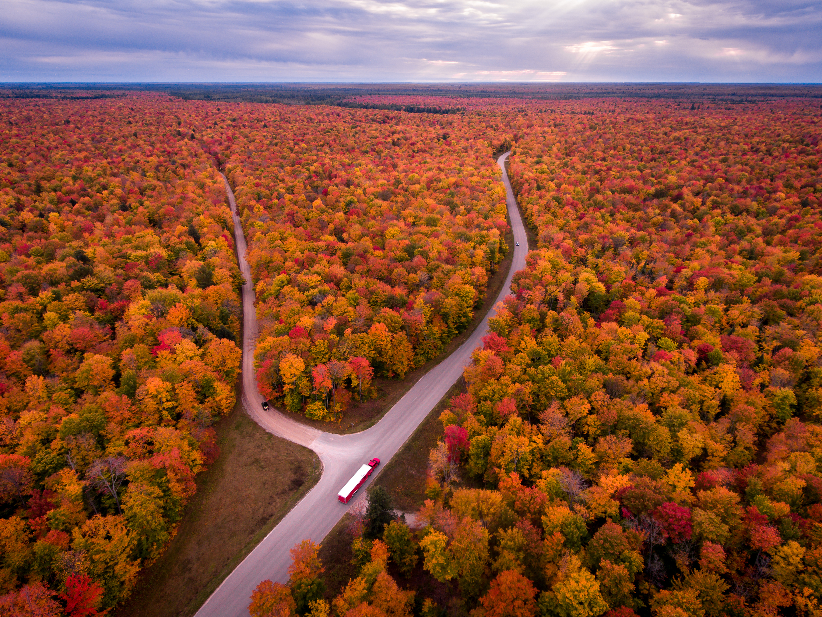 man made, road, forest, michigan, usa