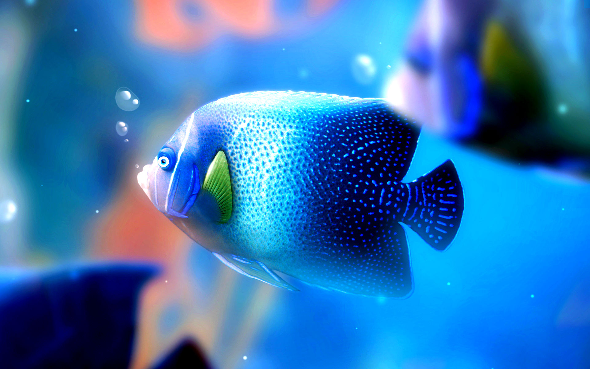 Baixe gratuitamente a imagem Animais, Peixes, Peixe na área de trabalho do seu PC