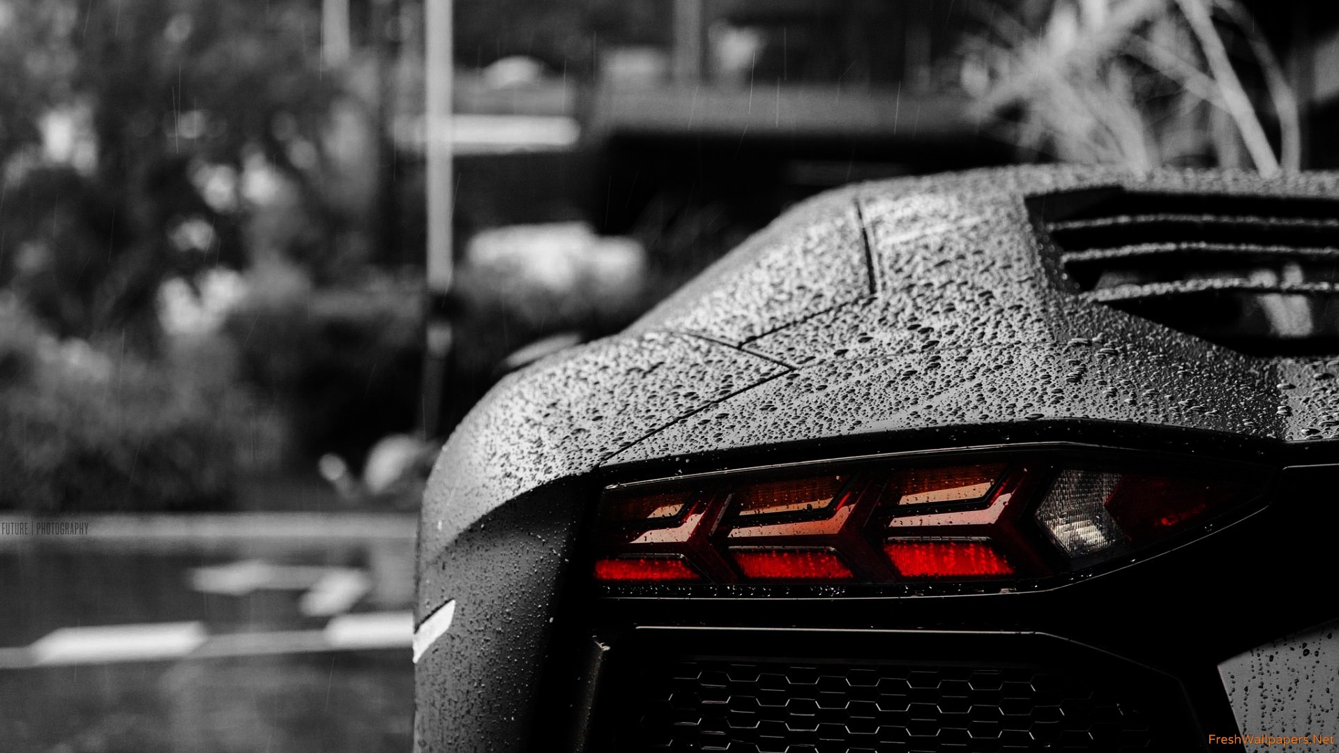 Lamborghini  8k Backgrounds