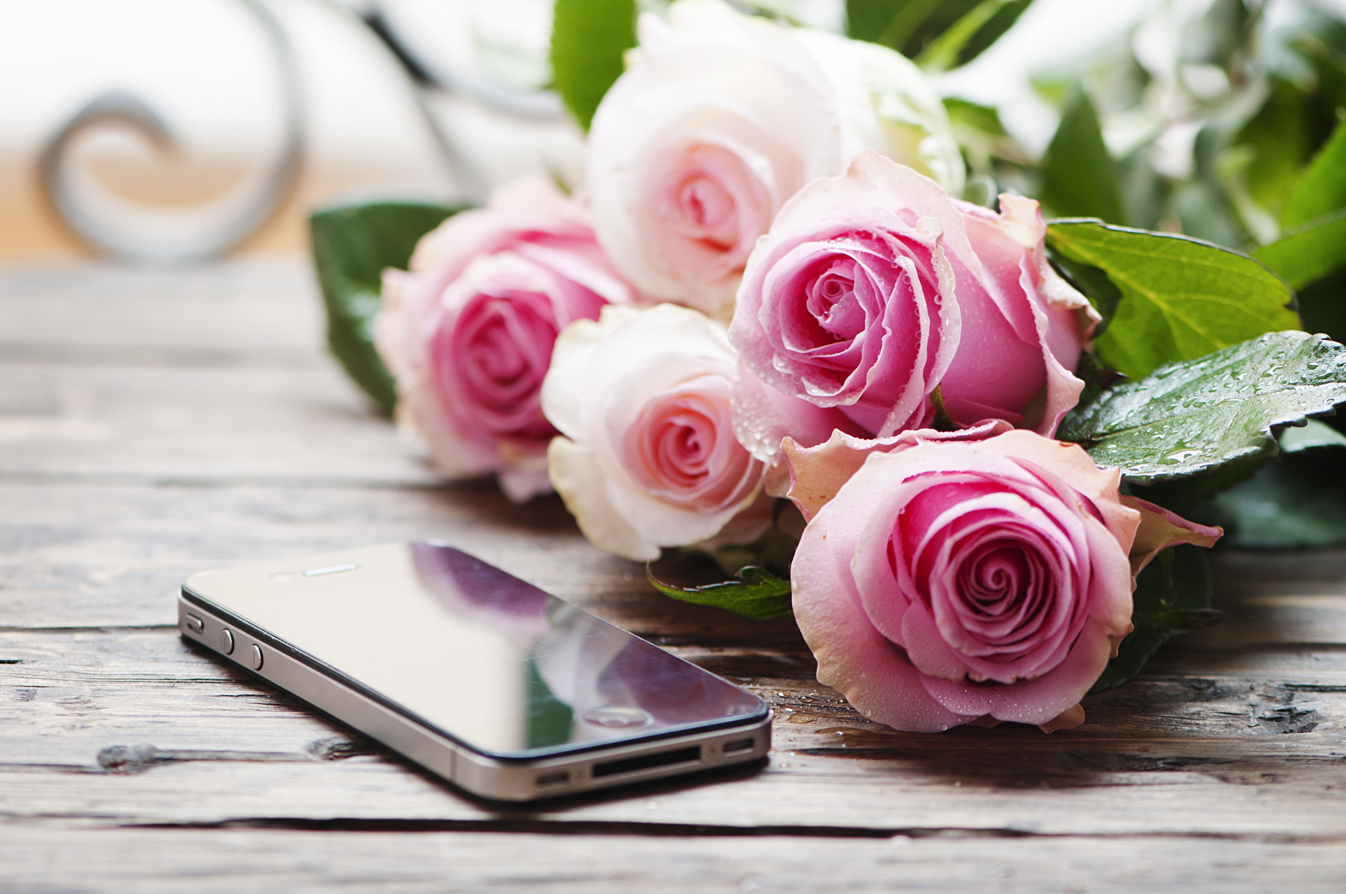 PCデスクトップに静物, 薔薇, 花束, スマートフォン, 写真撮影画像を無料でダウンロード