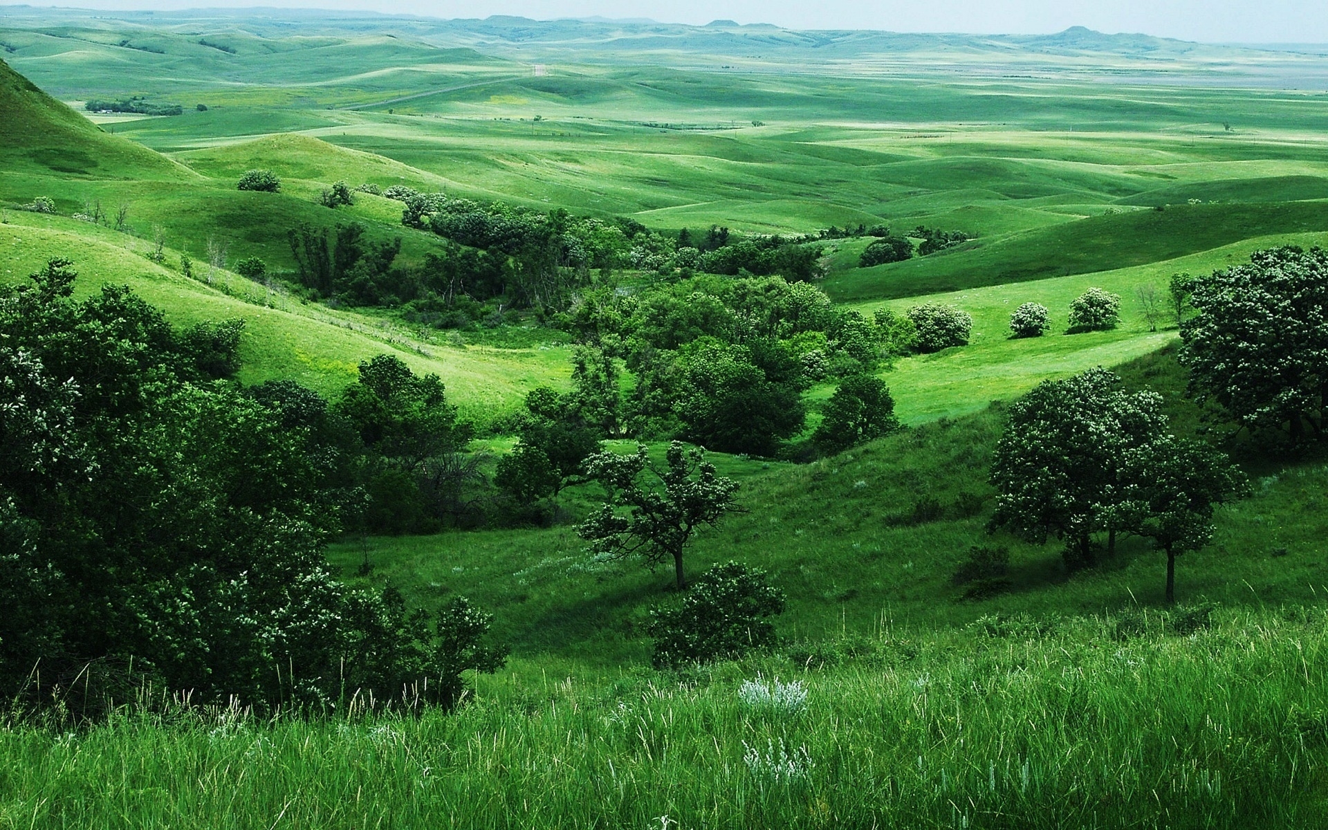 Free download wallpaper Landscape, Trees, Fields on your PC desktop