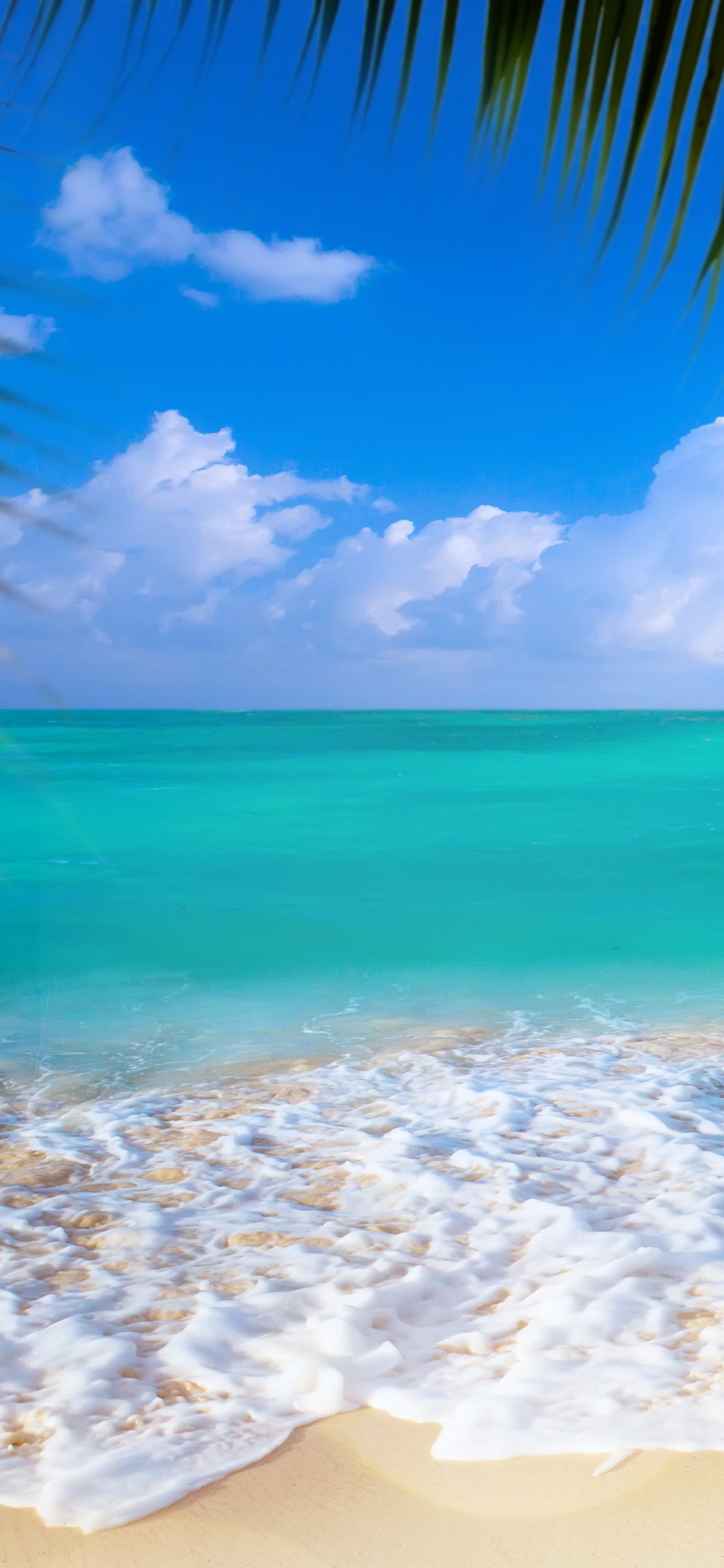 Descarga gratuita de fondo de pantalla para móvil de Playa, Tierra/naturaleza.