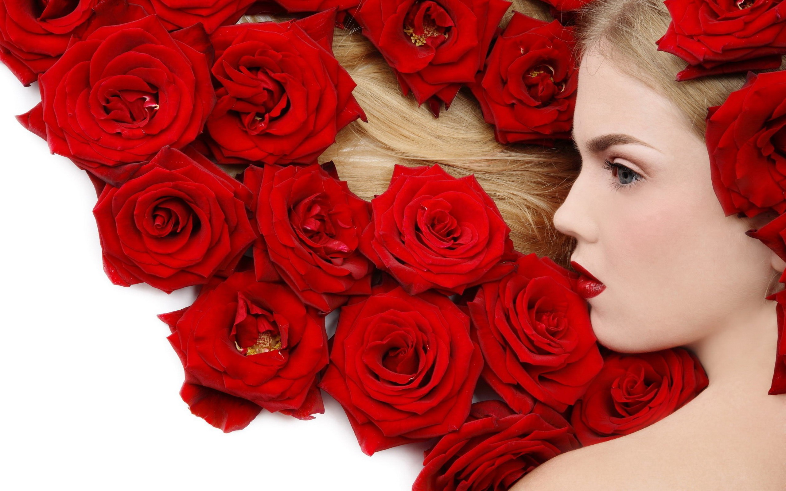 Handy-Wallpaper Rose, Gesicht, Frauen, Rote Rose, Blondinen, Lippenstift kostenlos herunterladen.