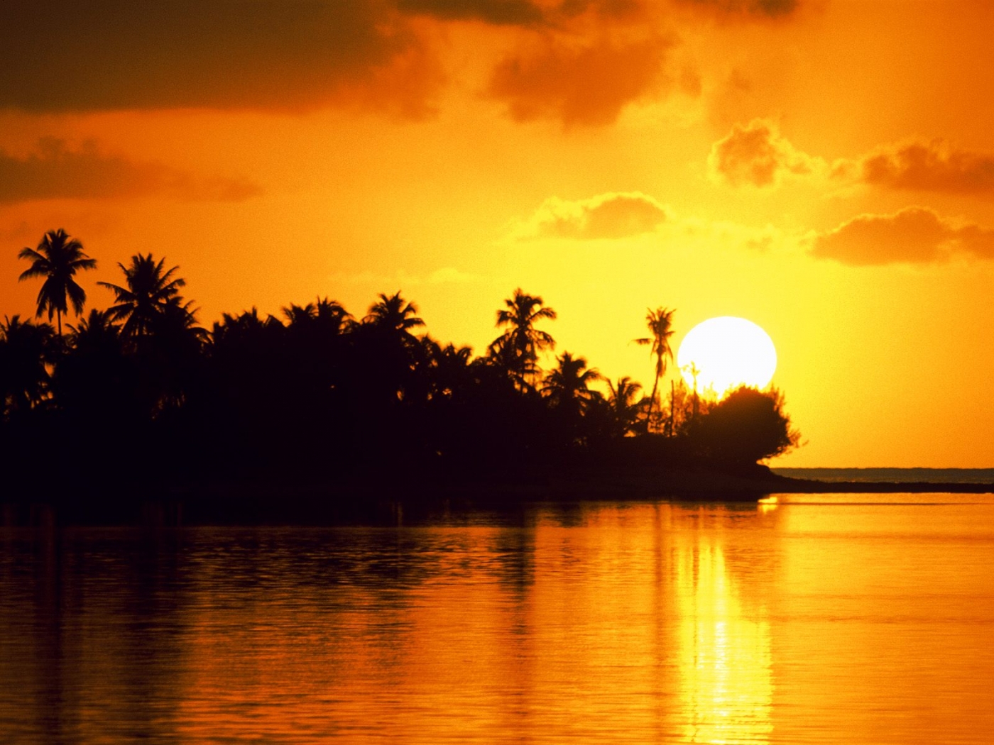 Laden Sie das Landschaft, Sunset, Palms-Bild kostenlos auf Ihren PC-Desktop herunter