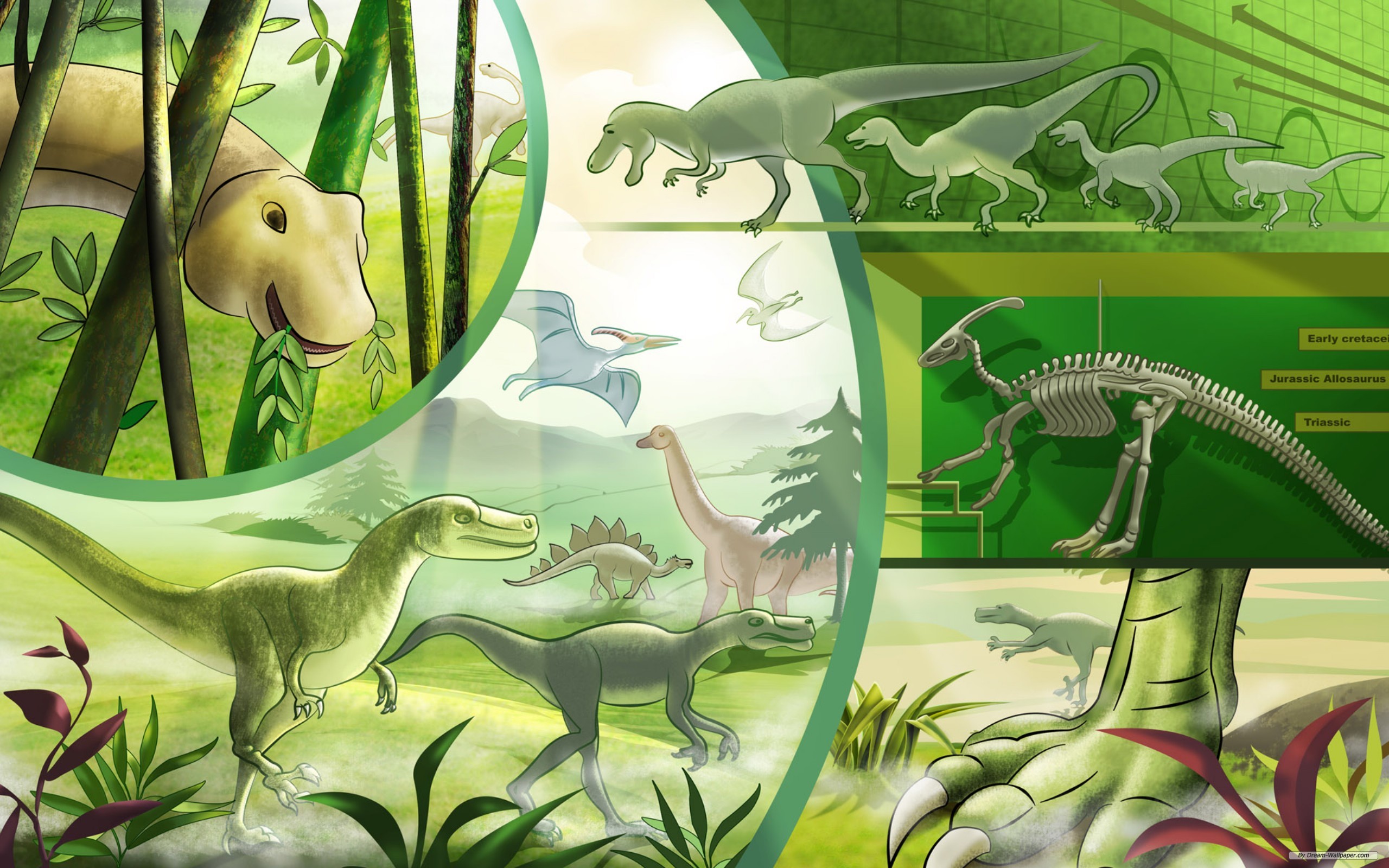 Скачать обои бесплатно Животные, Динозавры, Динозавр картинка на рабочий стол ПК