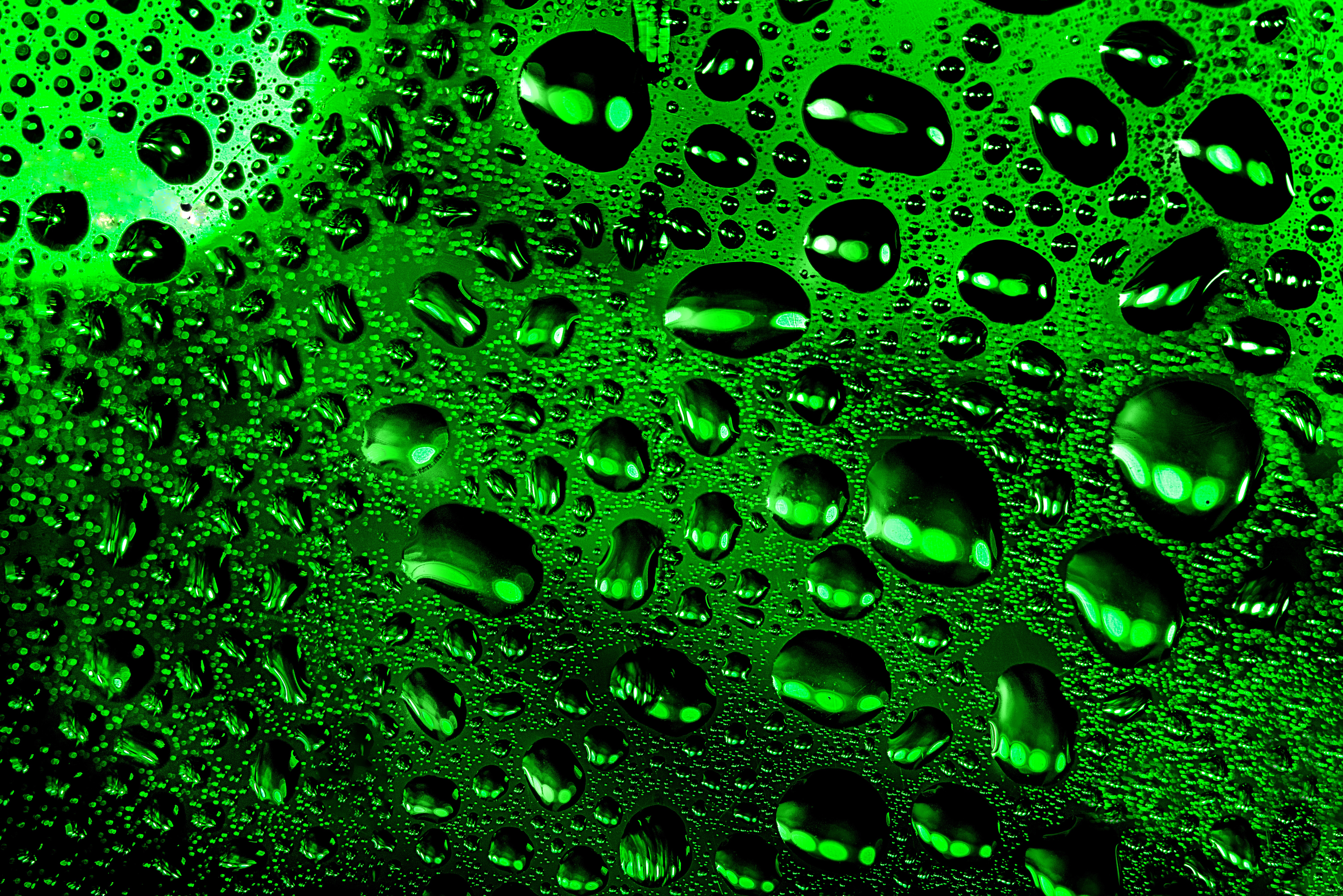 drops, green, macro, wet, surface