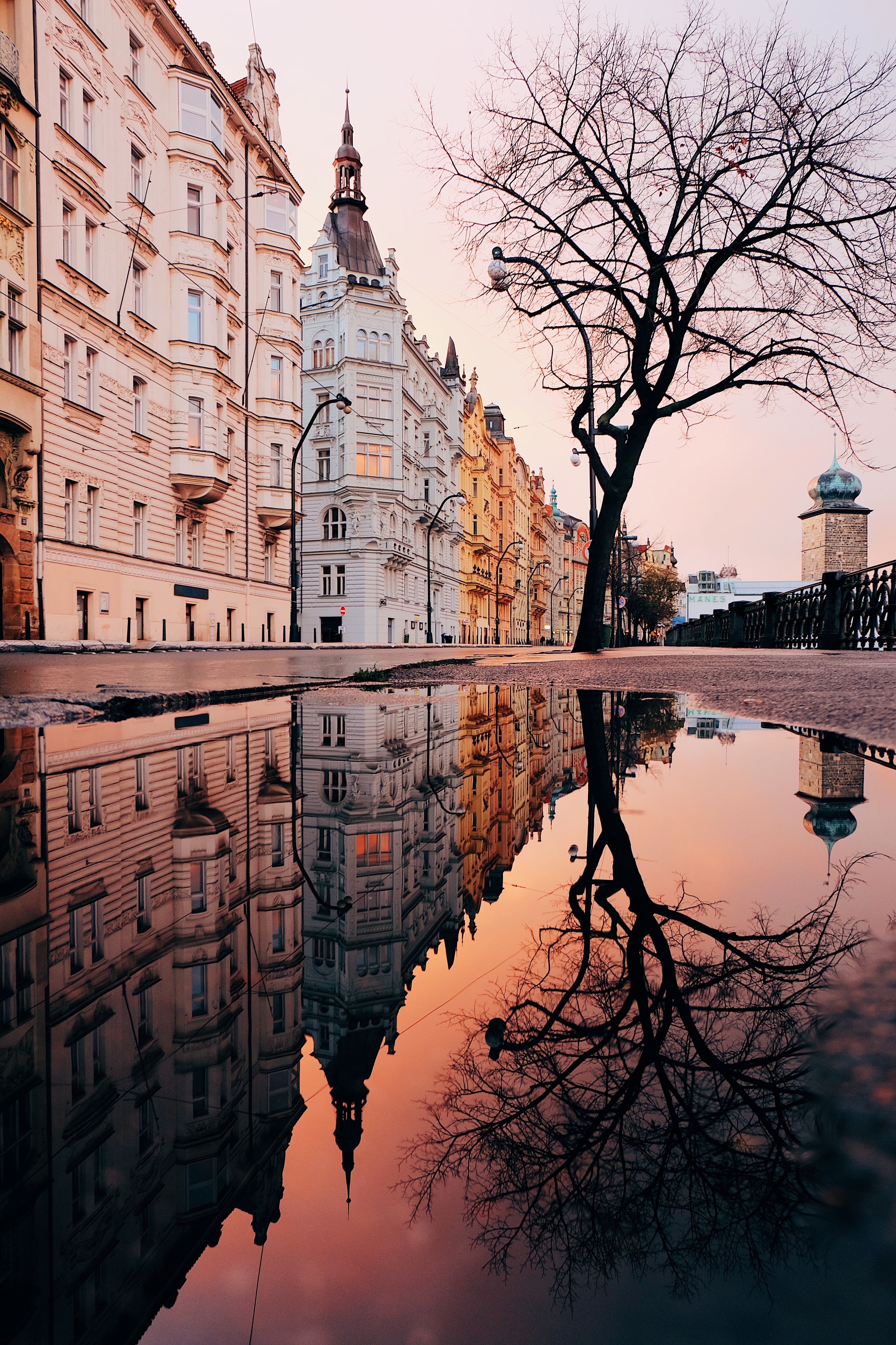 architecture, cities, city, reflection, puddle, prague, czech republic, czechia