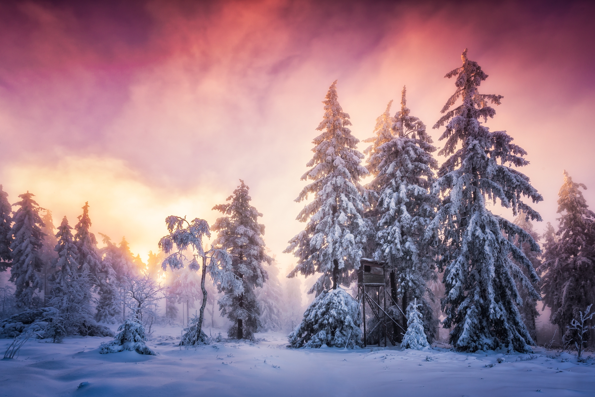 Téléchargez des papiers peints mobile Hiver, Coucher De Soleil, Forêt, Arbre, Terre/nature, Neiger gratuitement.