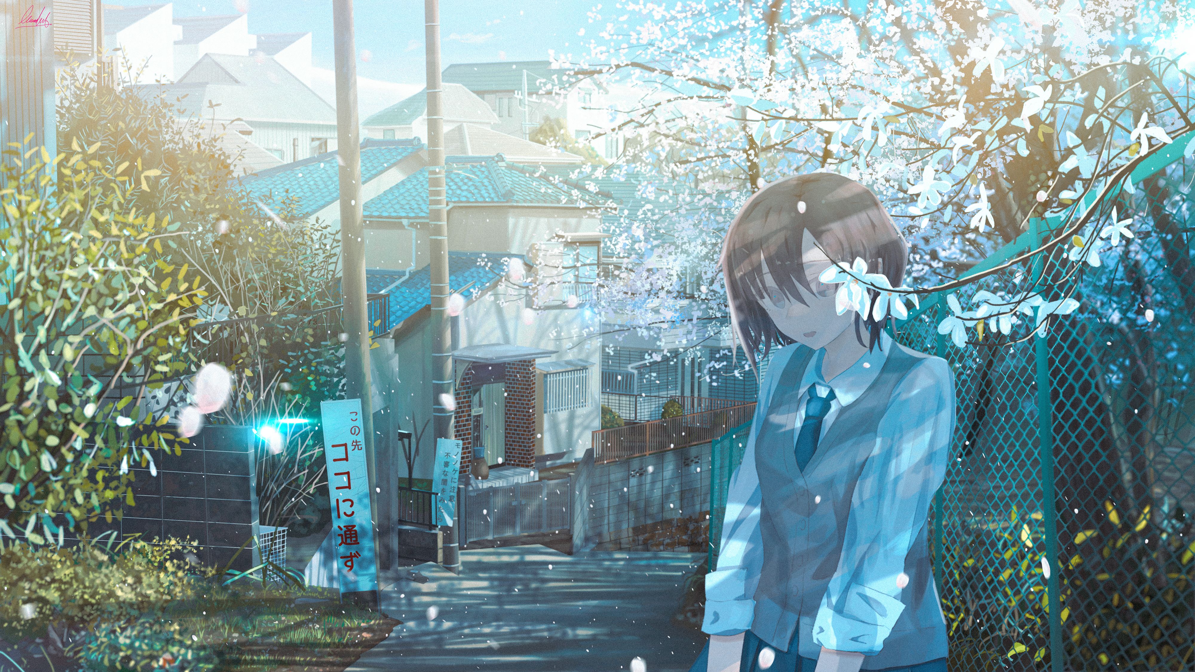 Laden Sie das Mädchen, Sakura, Animes-Bild kostenlos auf Ihren PC-Desktop herunter