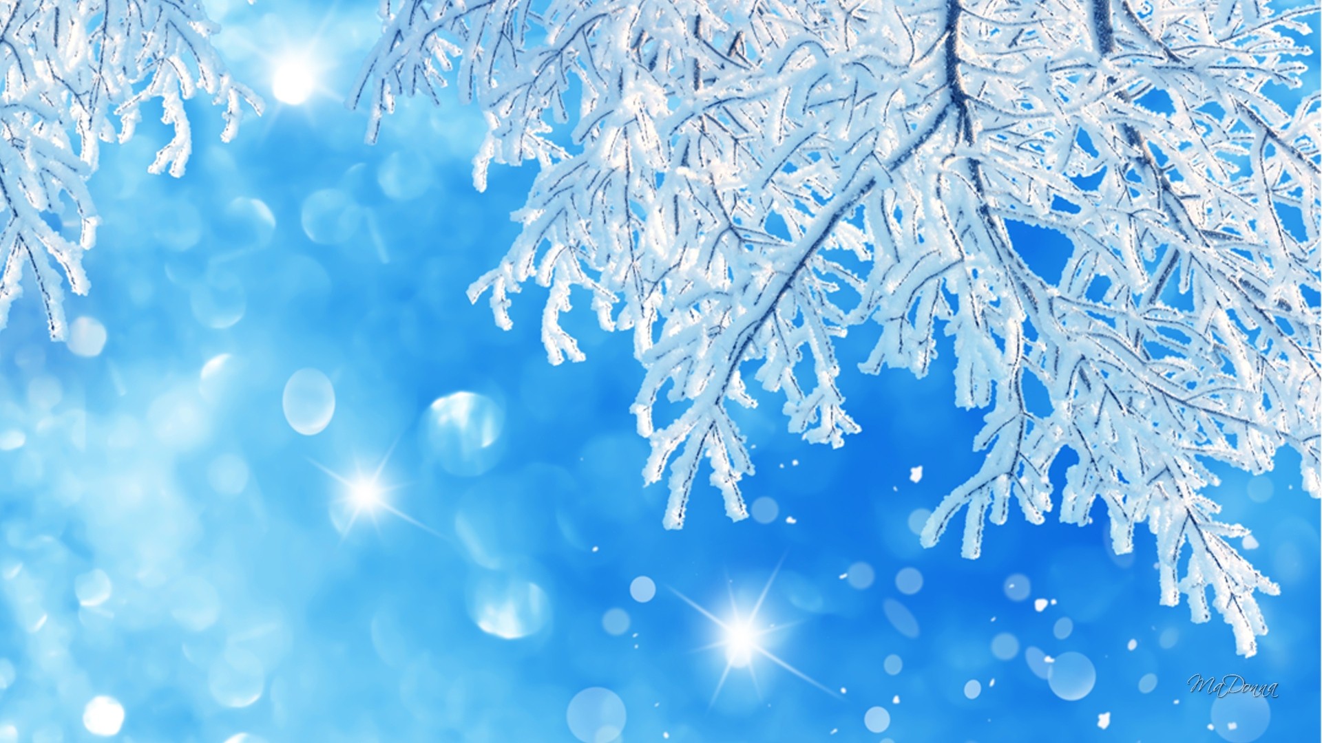 Download mobile wallpaper Winter, Sun, Snow, Branch, Earth, Sunshine for free.