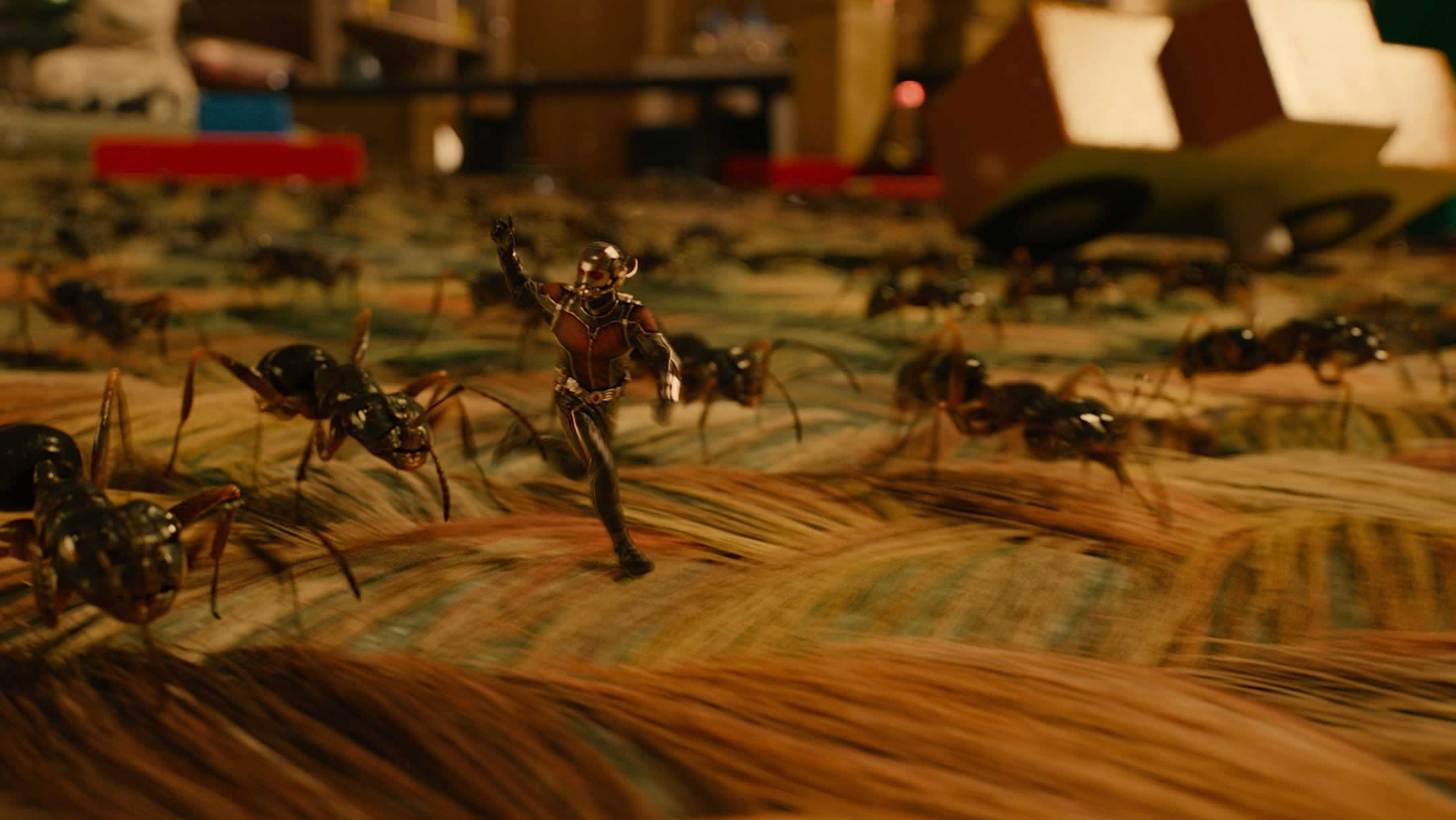 691769 Fonds d'écran et Ant Man images sur le bureau. Téléchargez les économiseurs d'écran  sur PC gratuitement