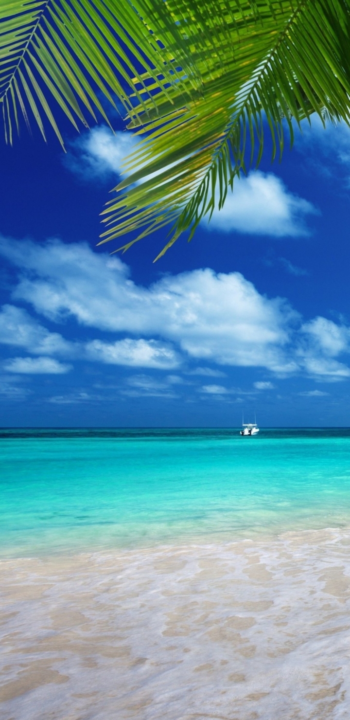 Download mobile wallpaper Sea, Earth, Tropics, Tropical for free.
