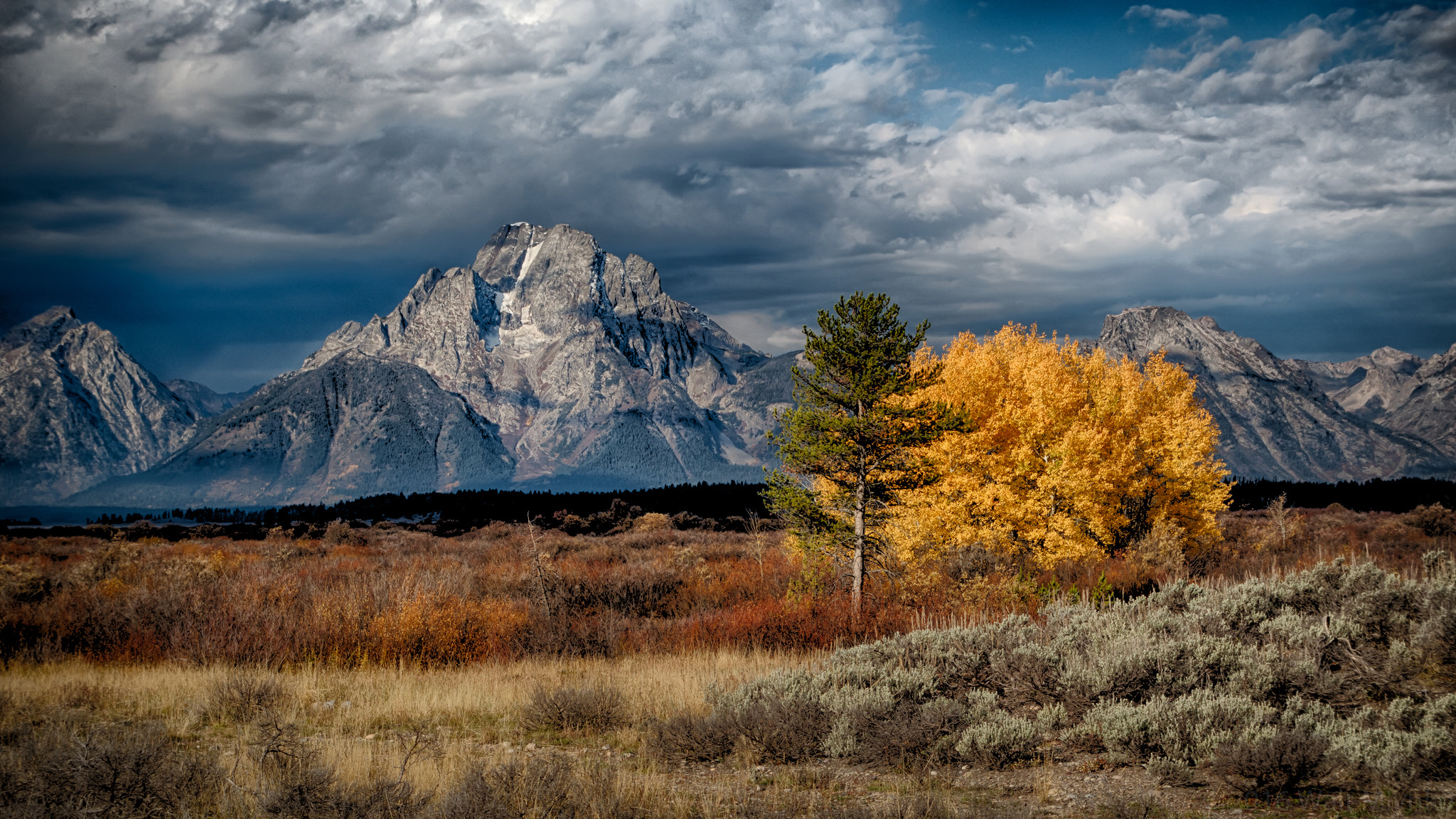 Download mobile wallpaper Mountains, Mountain, Tree, Earth for free.