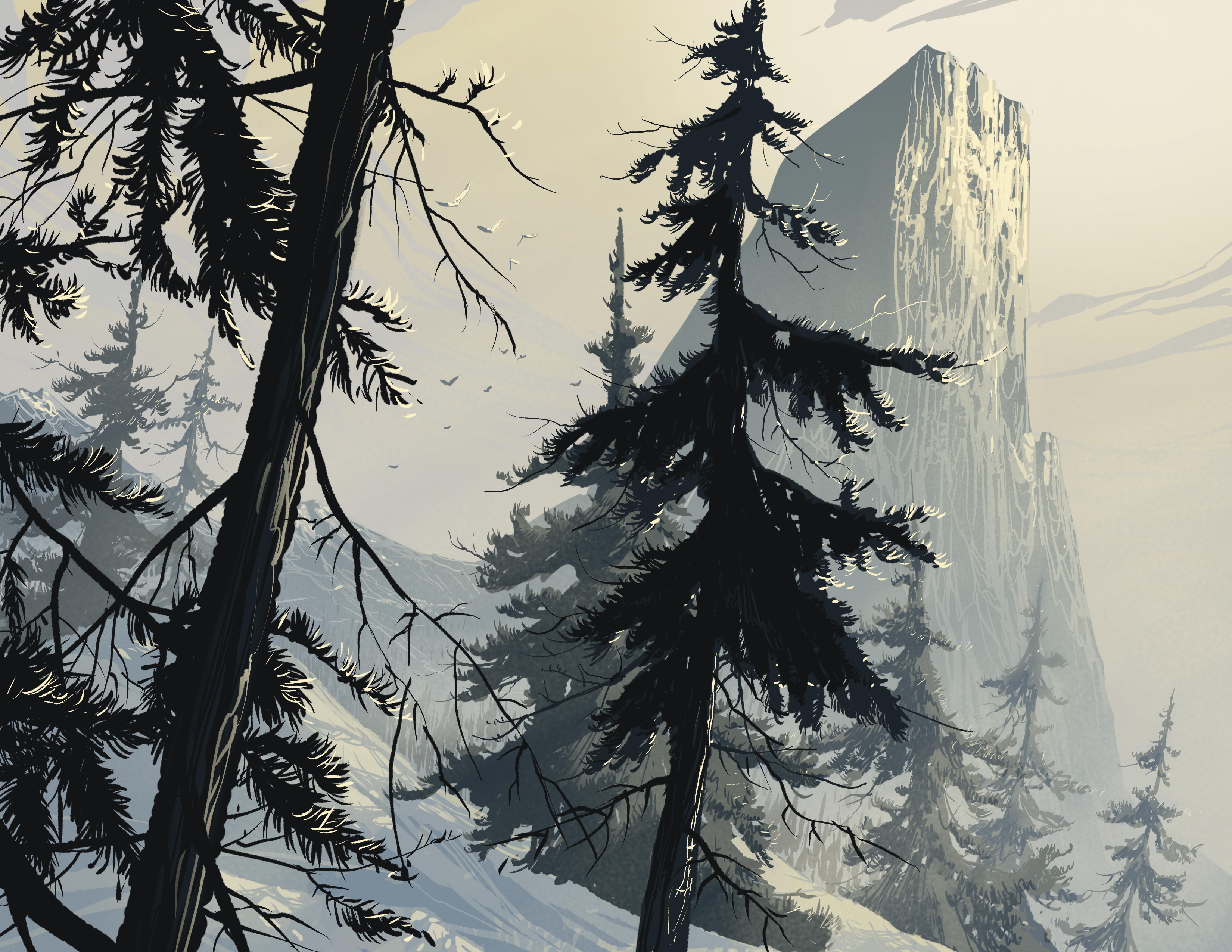 vector, art, winter, forest, branches, spruce, fir 1080p