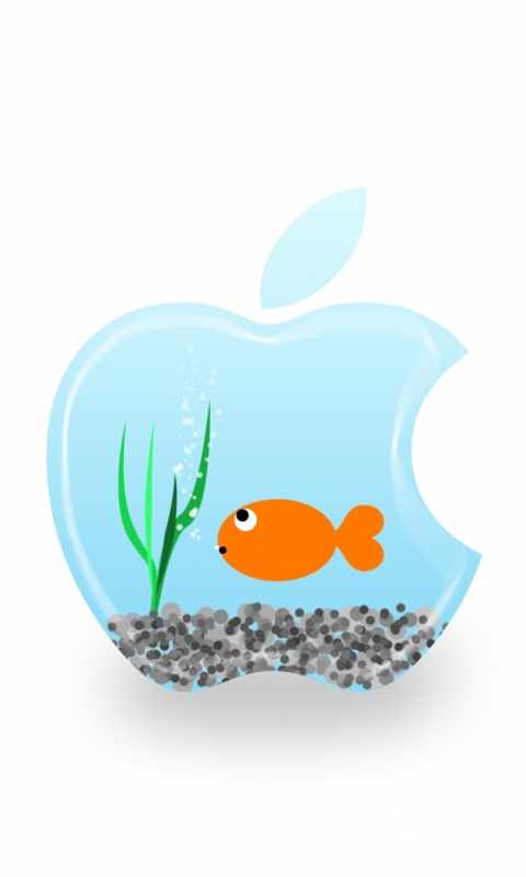 無料モバイル壁紙面白い, アップル, 魚, テクノロジー, ユーモアをダウンロードします。