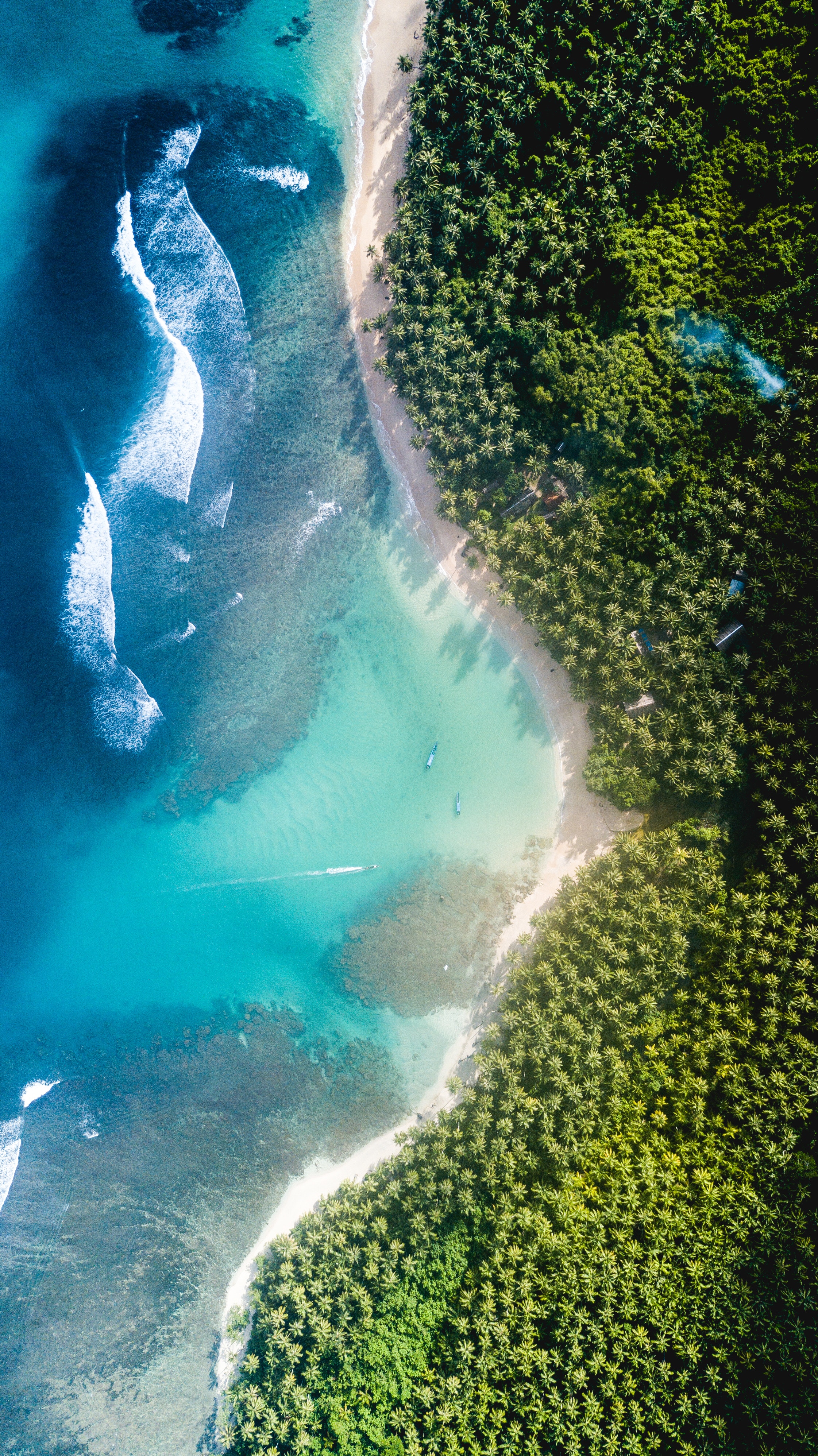 ocean, nature, trees, view from above, island Phone Background