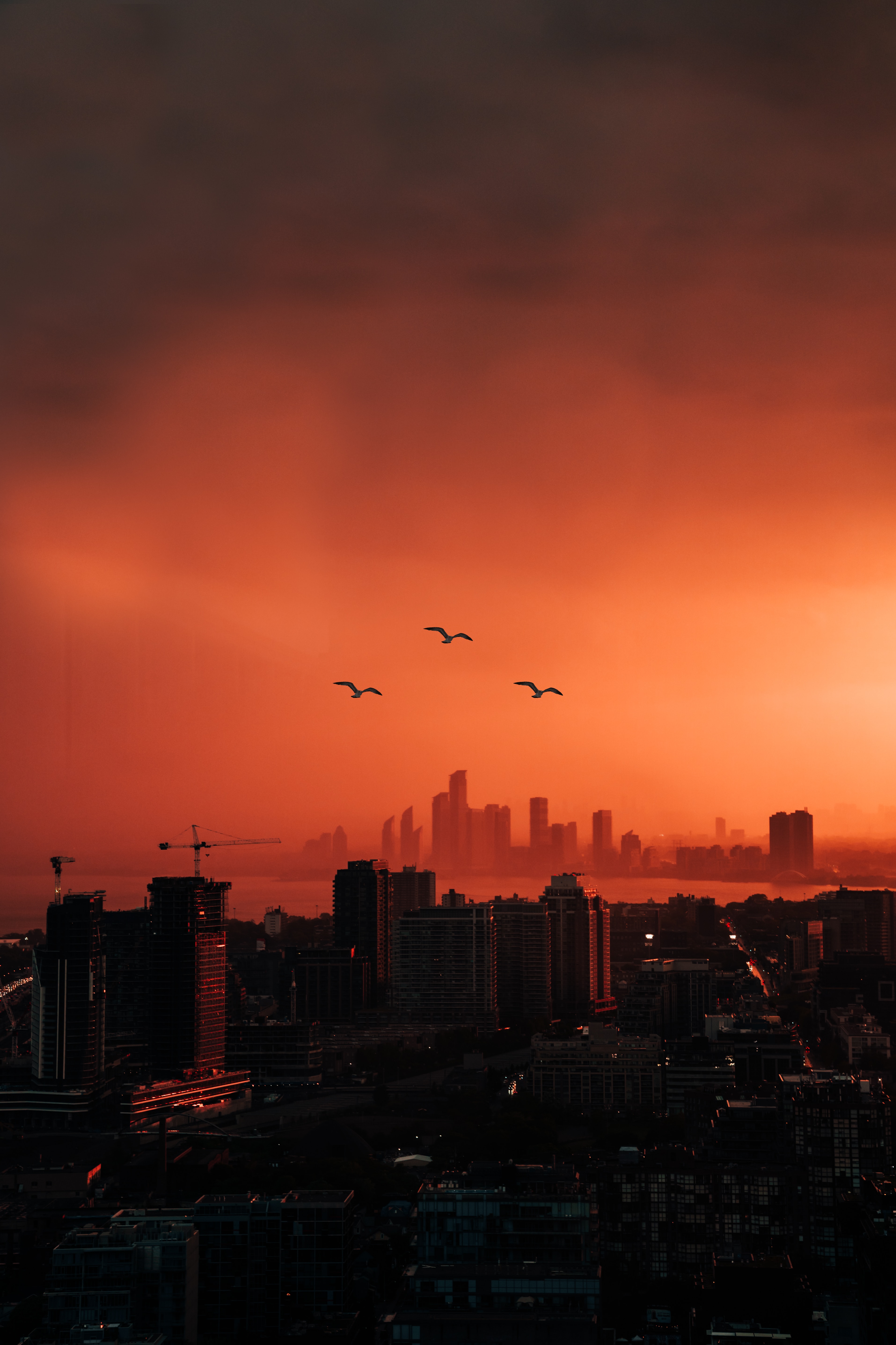 Free download wallpaper Sunset, Dusk, View From Above, Cities, City, Building, Birds, Twilight on your PC desktop