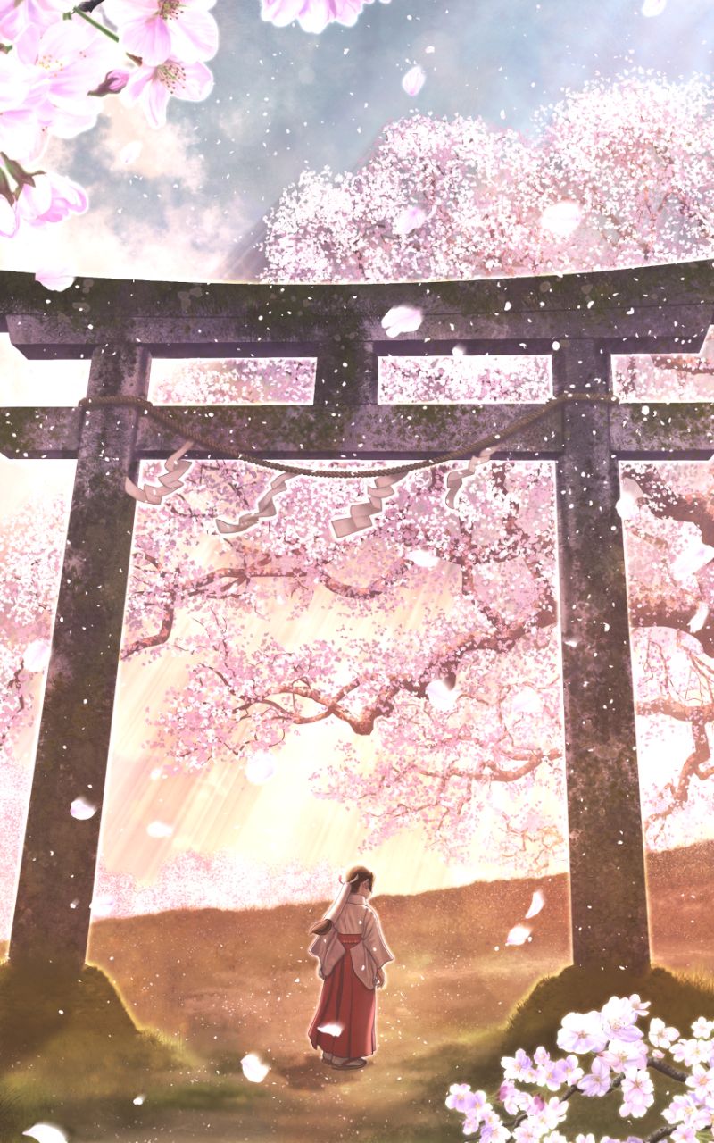 Download mobile wallpaper Anime, Flower, Spring, Petal, Oriental, Cherry Blossom, Original, Shrine, Blossom, Pink Flower, Traditional Costume for free.