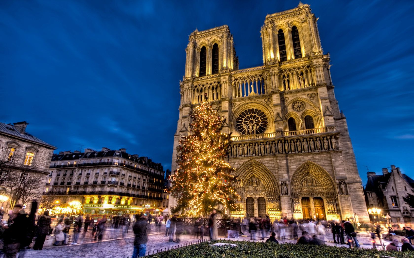 105938 скачать обои нотр дам де пари, елка, собор парижской богоматери, франция, города, париж, новый год, площадь, праздник - заставки и картинки бесплатно