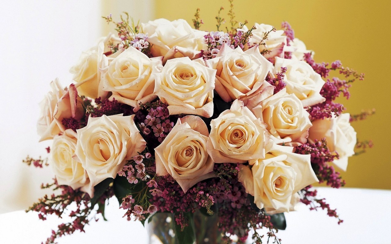 Handy-Wallpaper Blumen, Pflanzen, Roses, Bouquets kostenlos herunterladen.