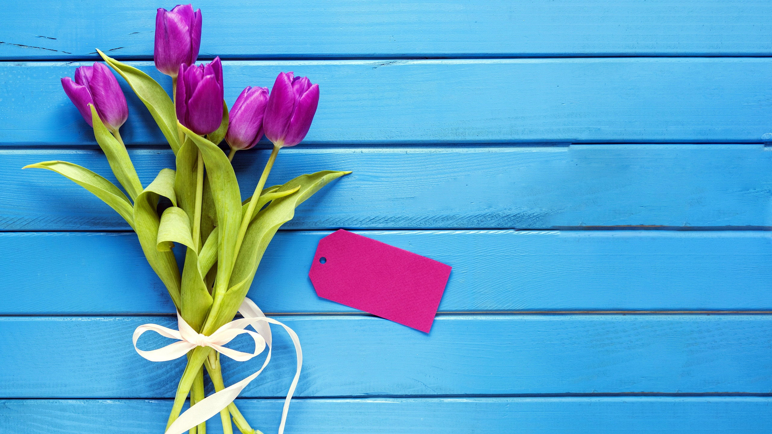 Baixar papel de parede para celular de Flor, Tulipa, Feito Pelo Homem gratuito.