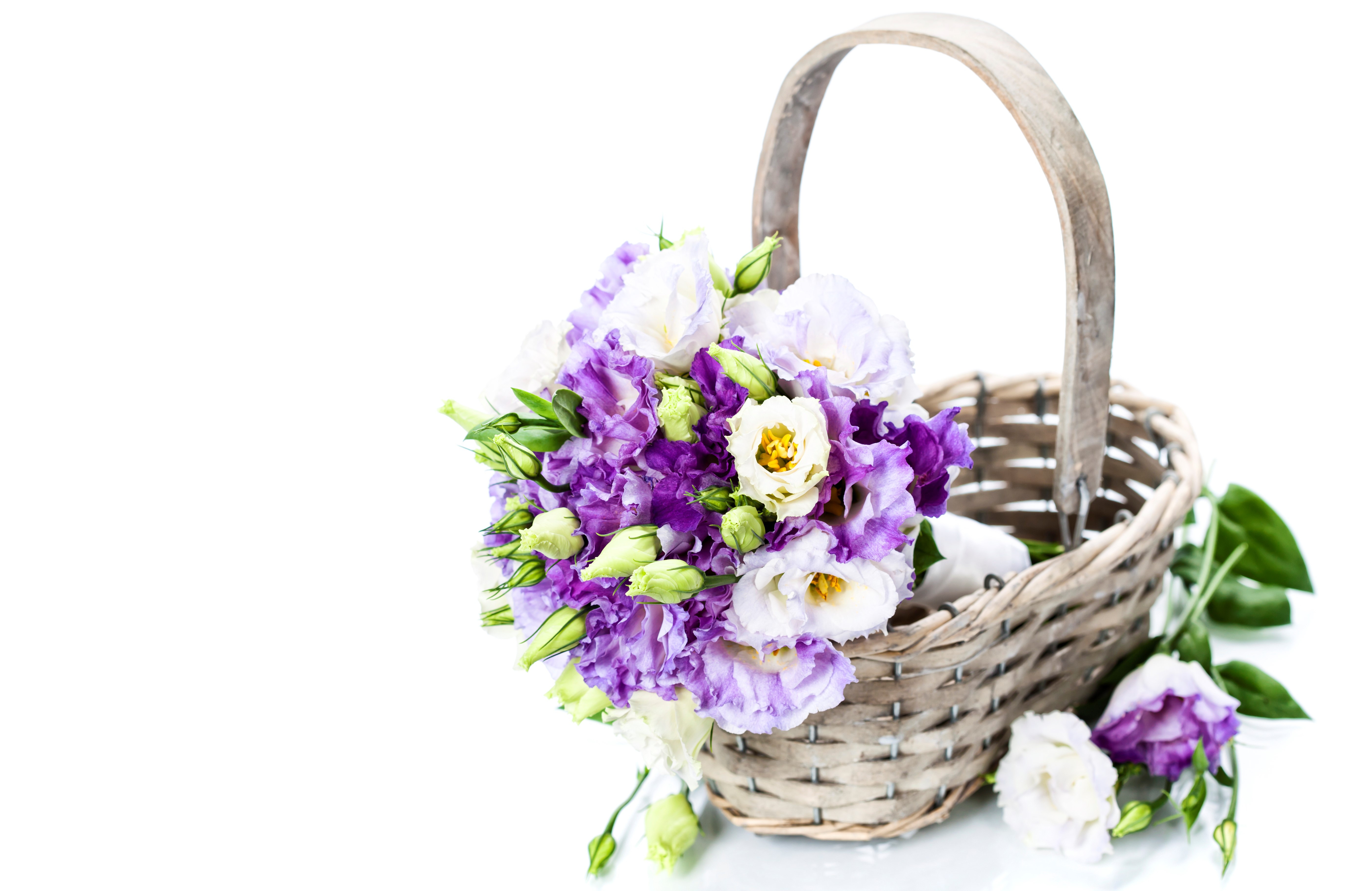 Laden Sie das Blume, Korb, Eustoma, Menschengemacht-Bild kostenlos auf Ihren PC-Desktop herunter