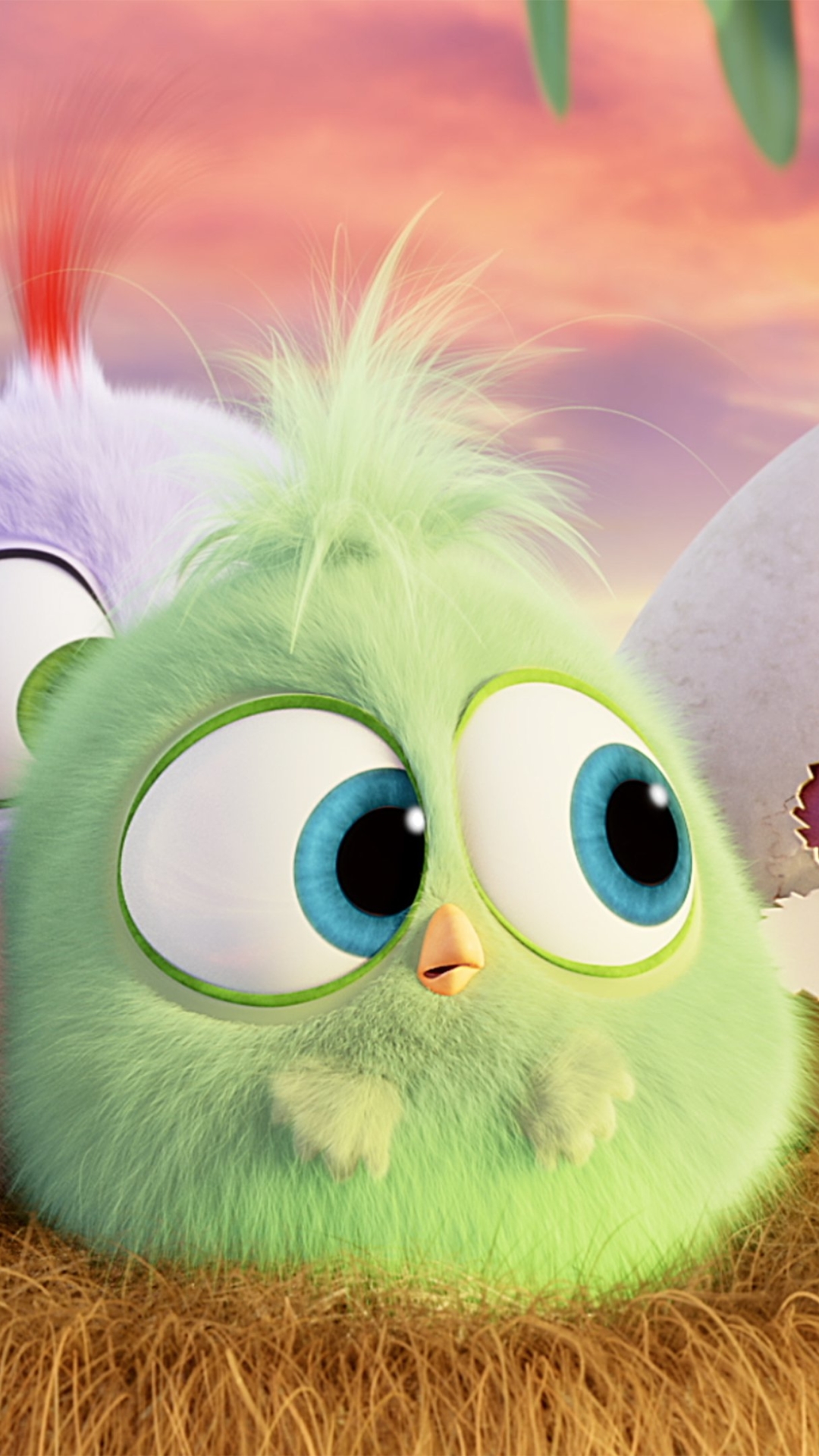 1124648 Salvapantallas y fondos de pantalla Angry Birds: La Película en tu teléfono. Descarga imágenes de  gratis